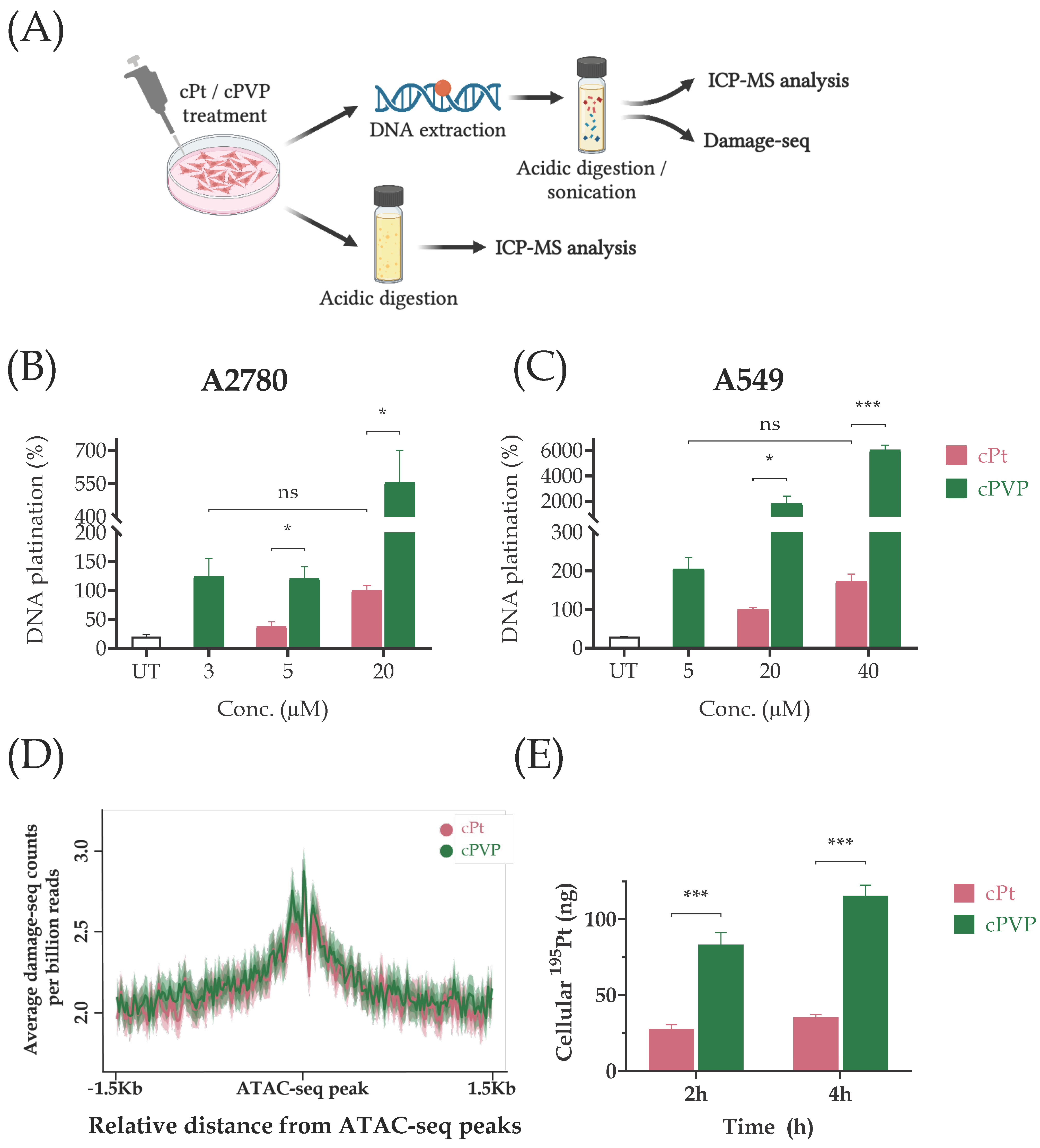 Biomolecules 16 00542 g005 Biomolecules 16 00542 g005