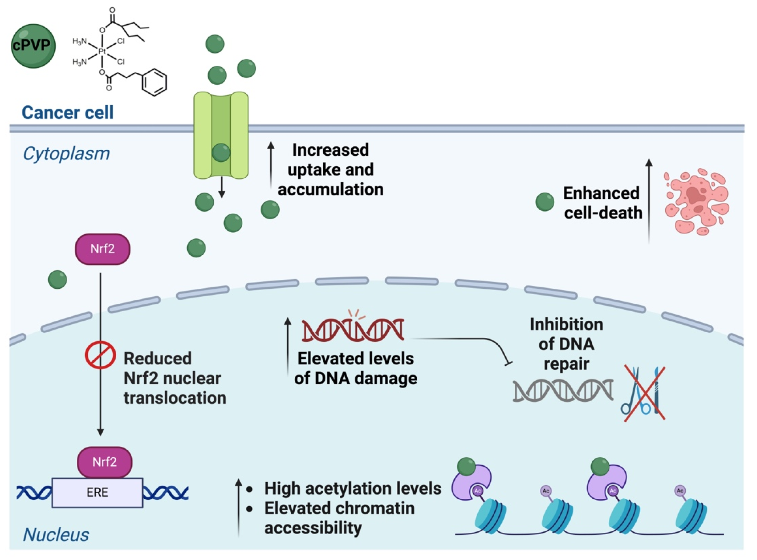 Biomolecules 16 00542 g008 Biomolecules 16 00542 g008
