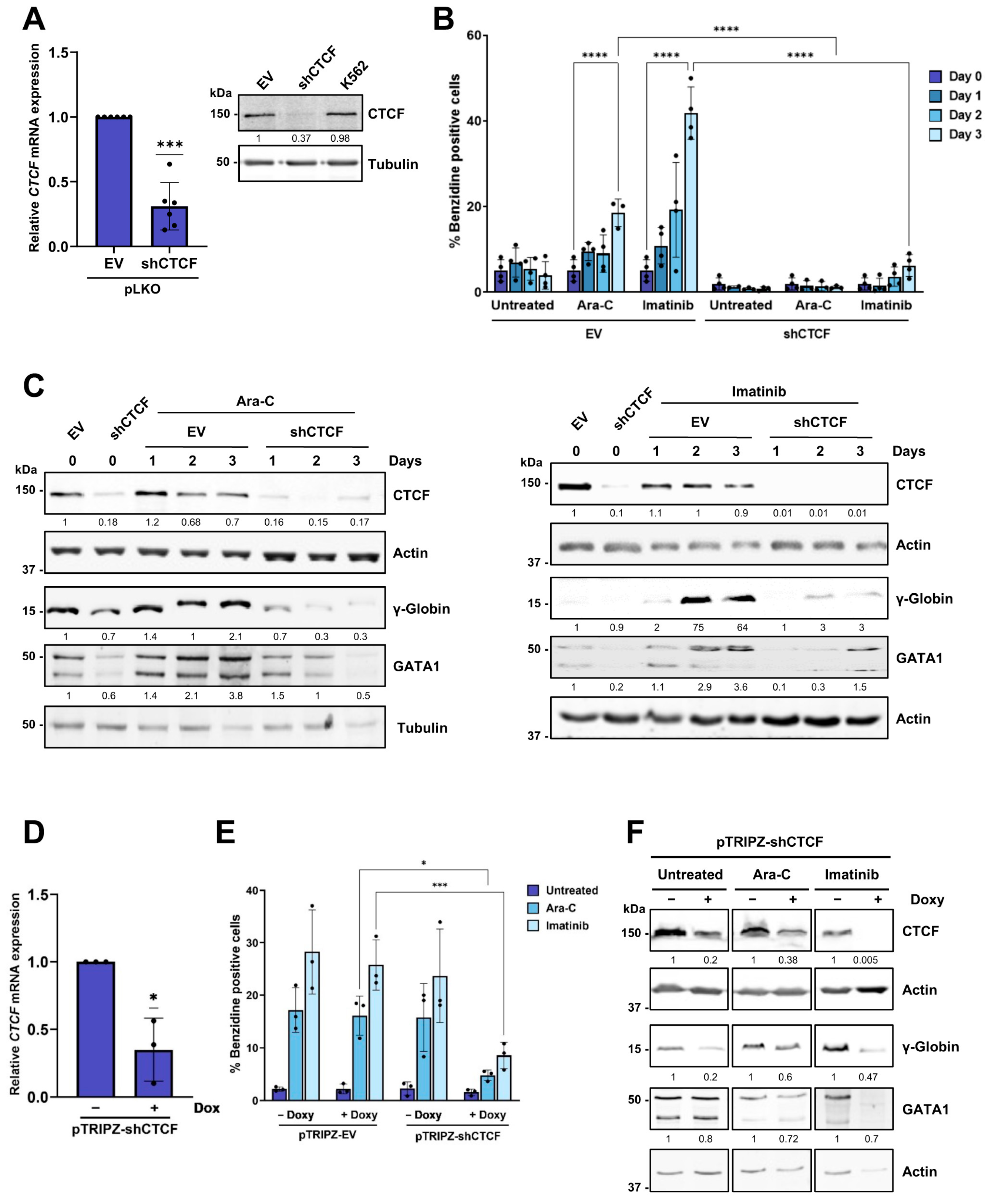 Biomolecules 16 00549 g001 Biomolecules 16 00549 g001