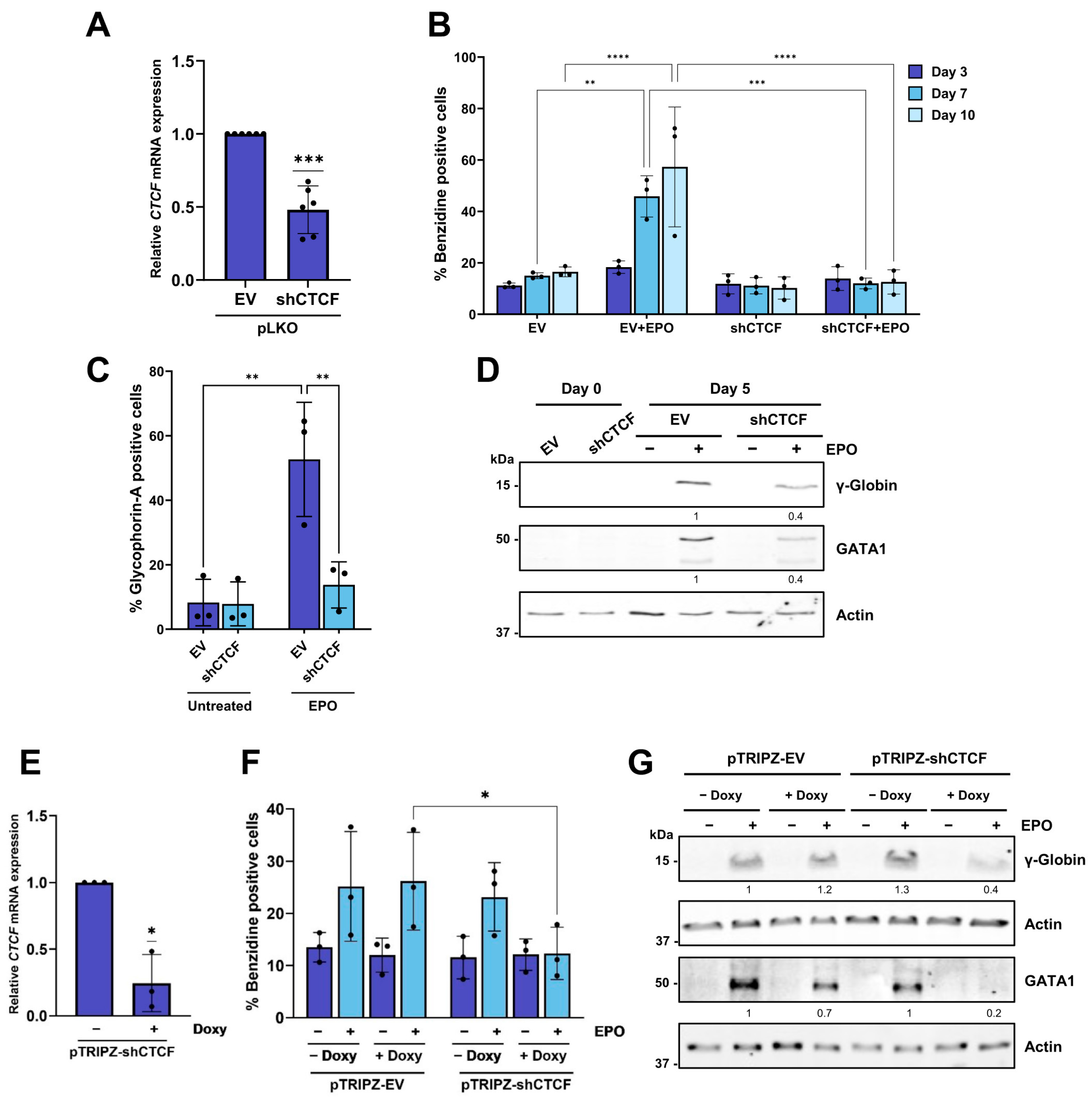 Biomolecules 16 00549 g002 Biomolecules 16 00549 g002