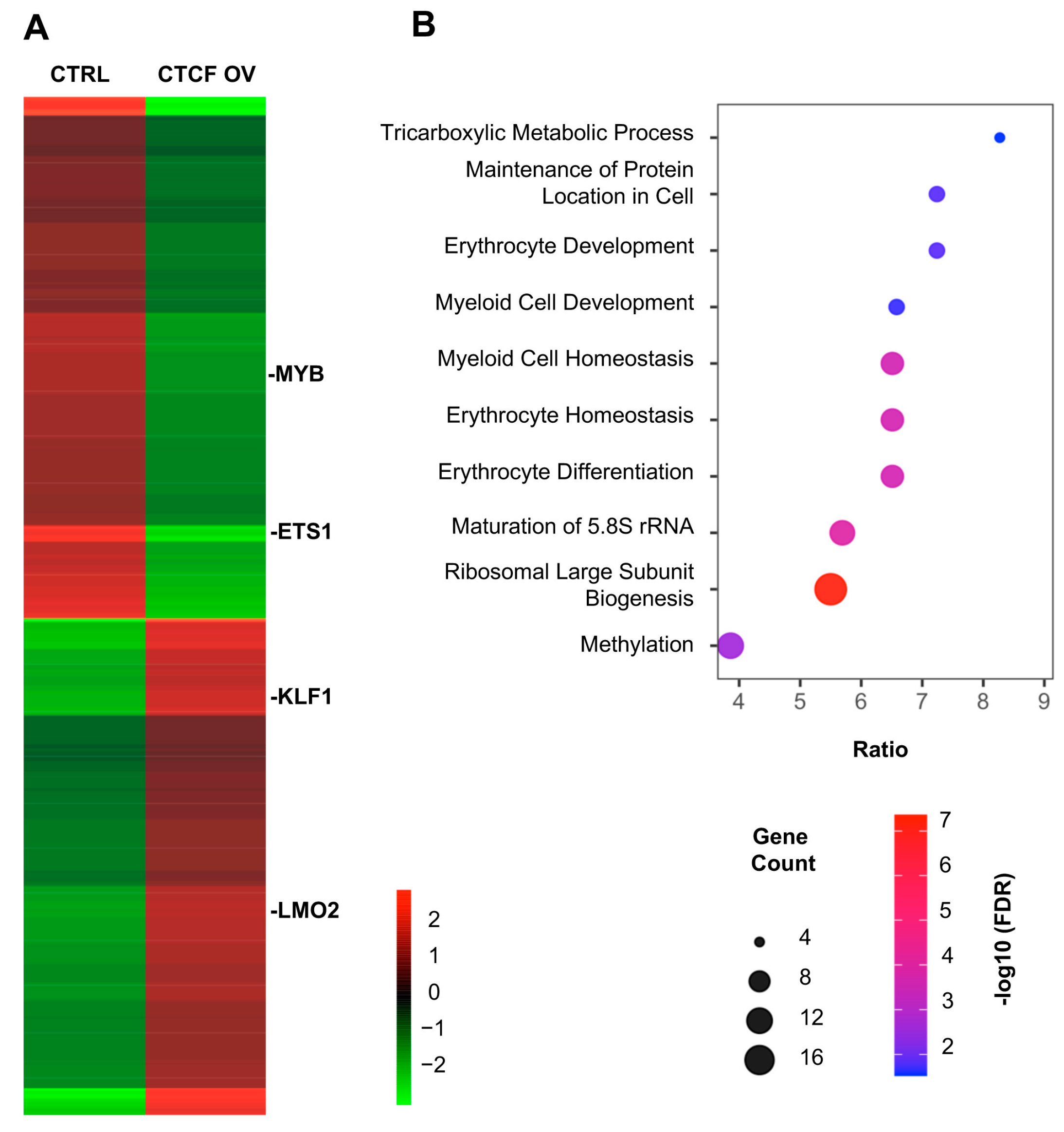 Biomolecules 16 00549 g003 Biomolecules 16 00549 g003