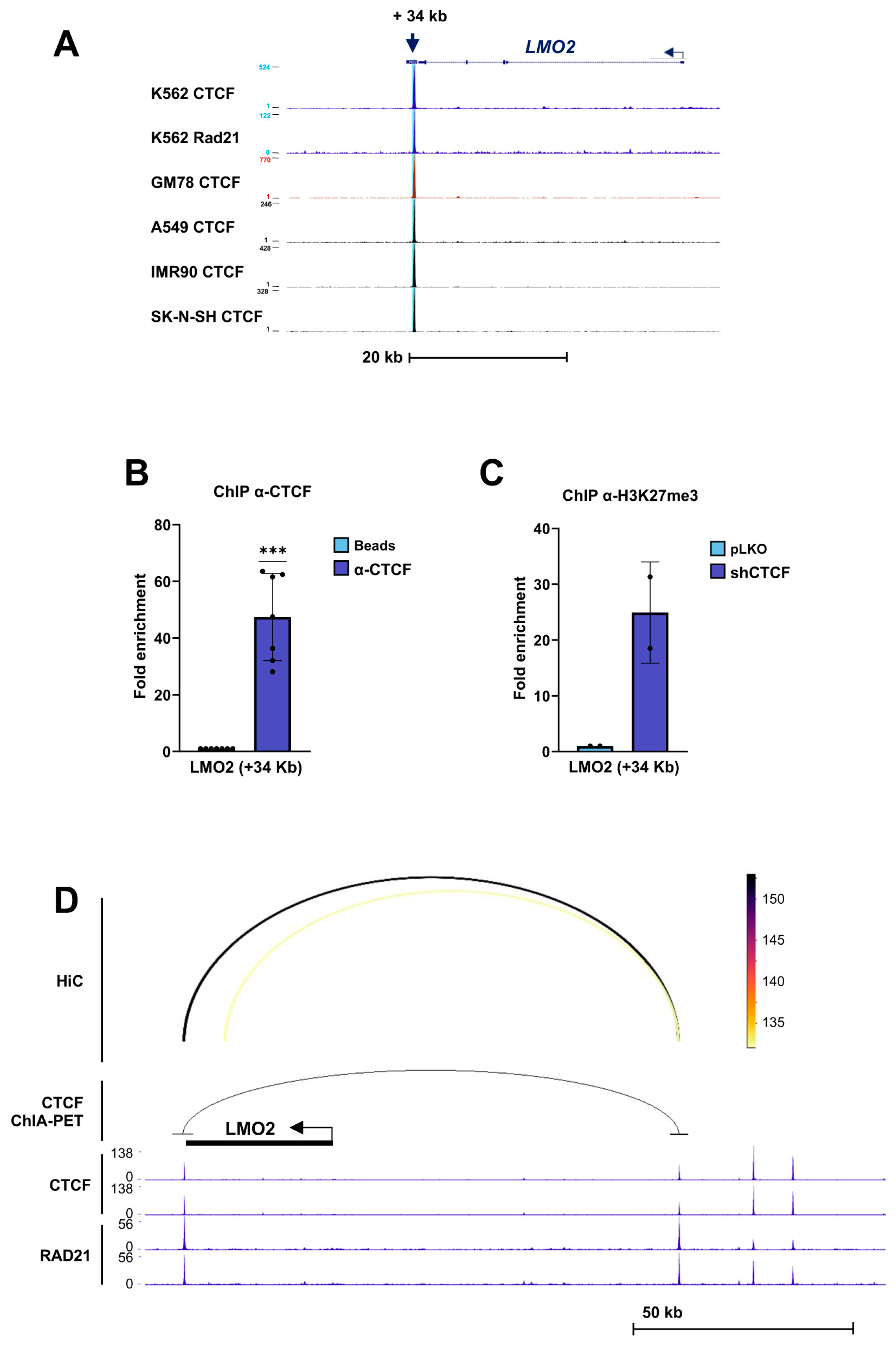 Biomolecules 16 00549 g005 Biomolecules 16 00549 g005