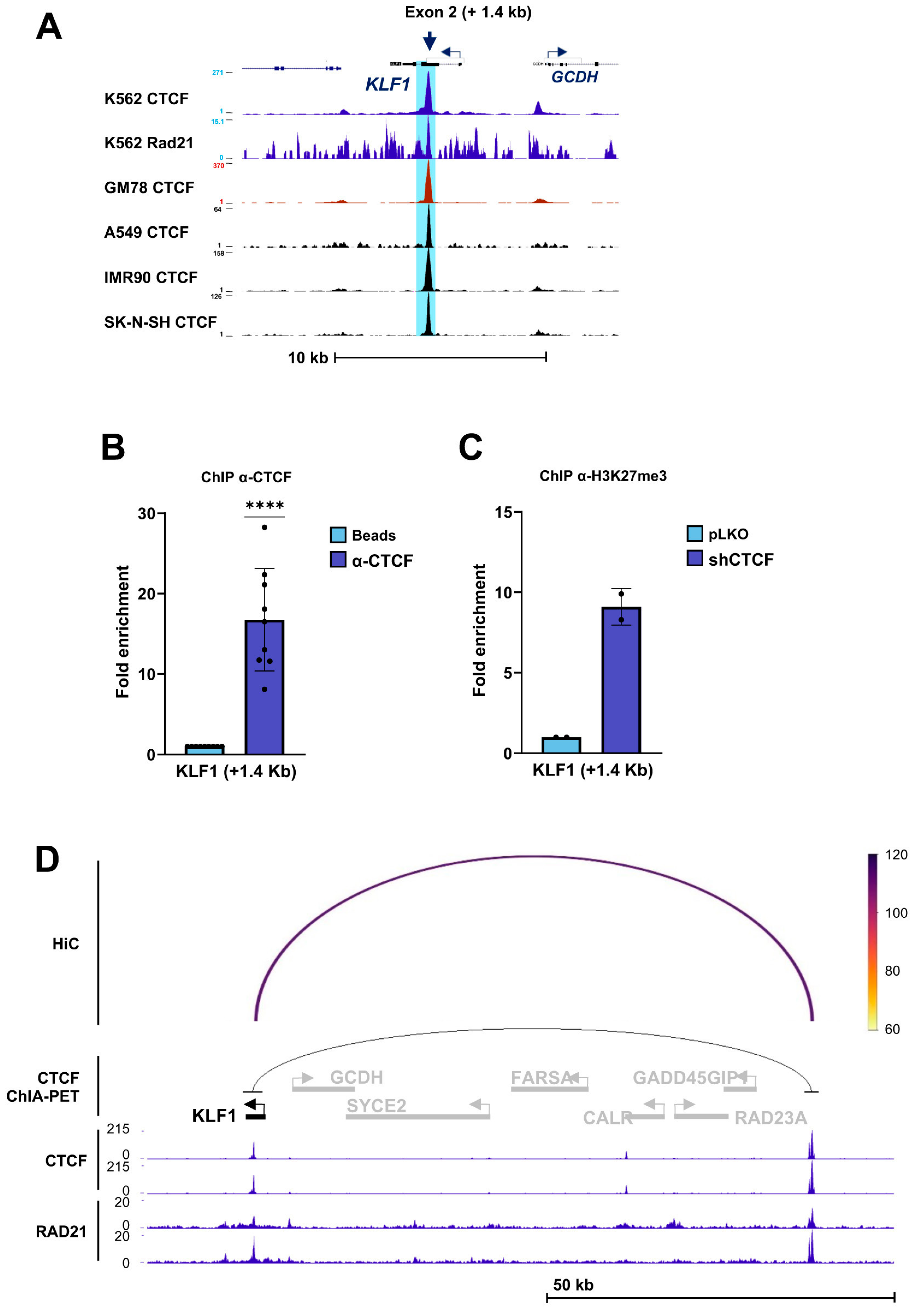 Biomolecules 16 00549 g006 Biomolecules 16 00549 g006