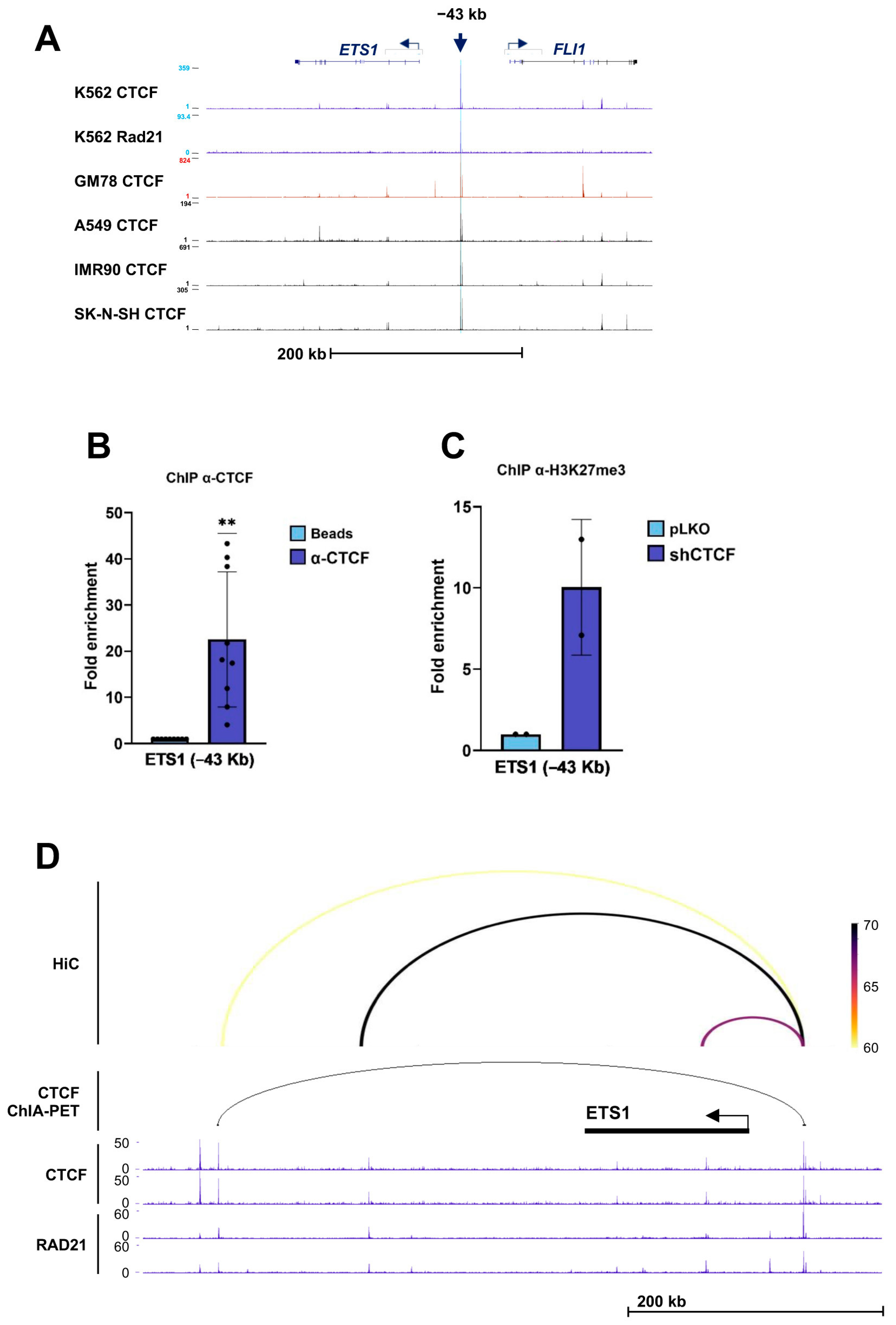 Biomolecules 16 00549 g008 Biomolecules 16 00549 g008
