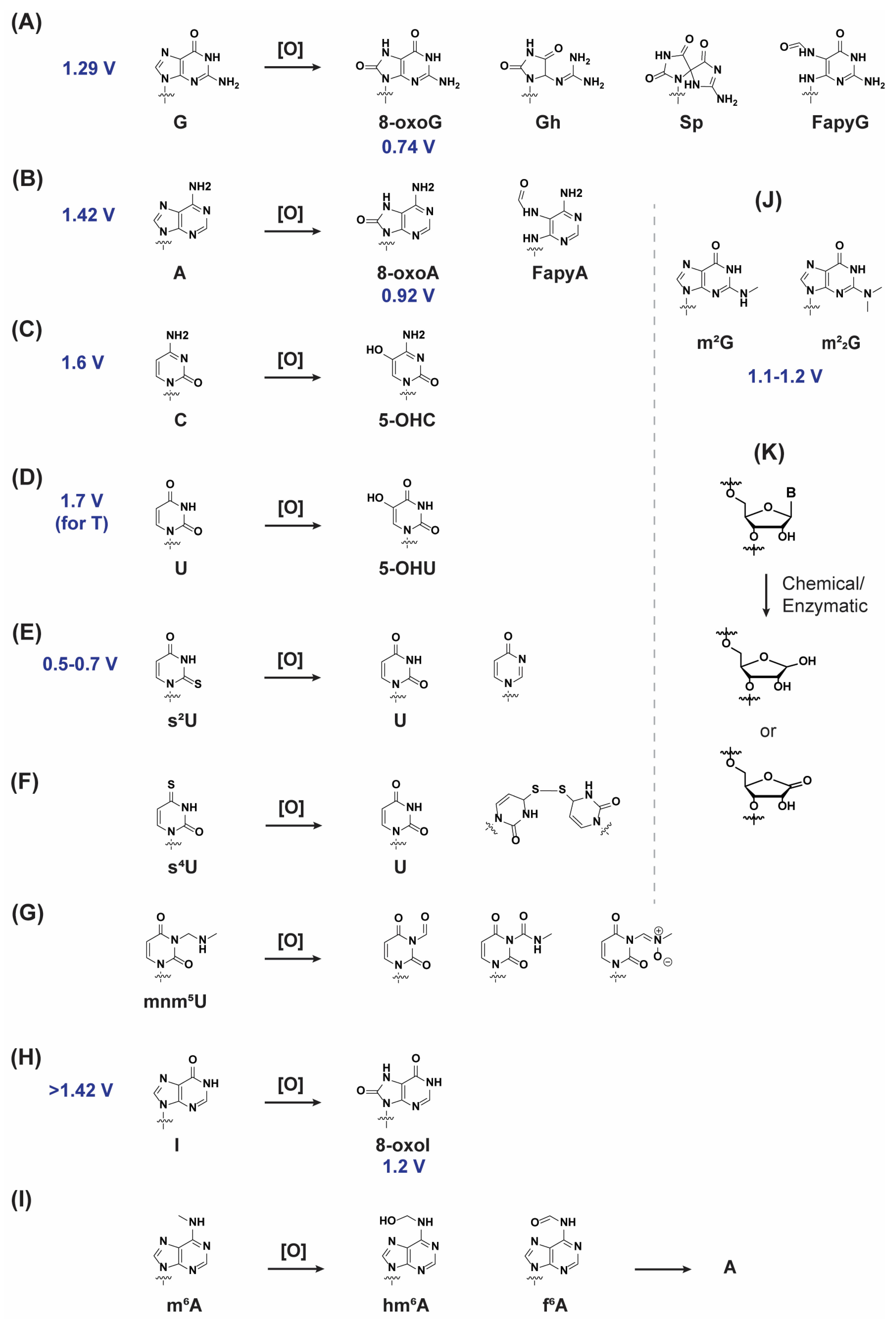 Biomolecules 16 00564 sch001 Biomolecules 16 00564 sch001
