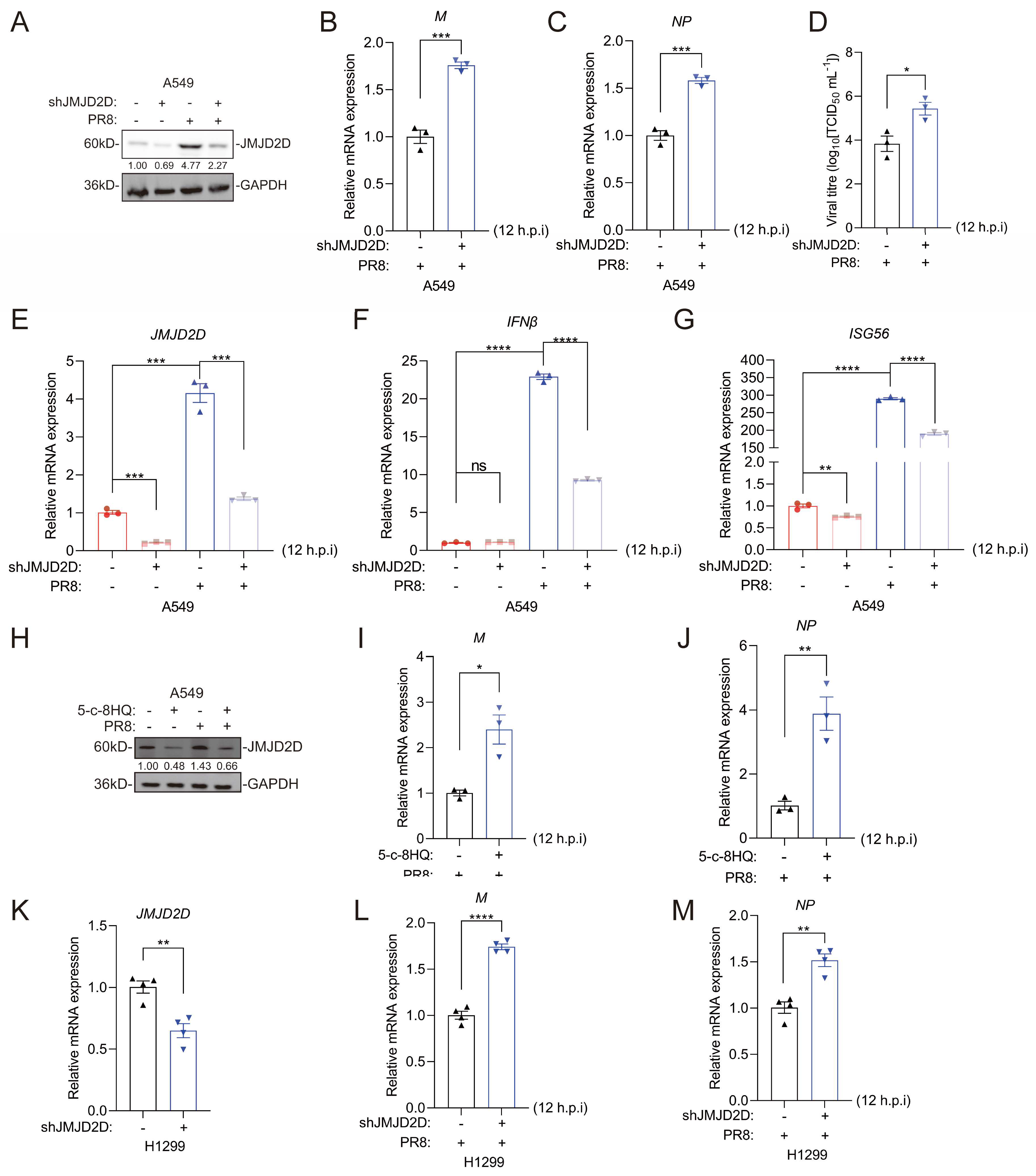 Biomolecules 16 00604 g003 Biomolecules 16 00604 g003