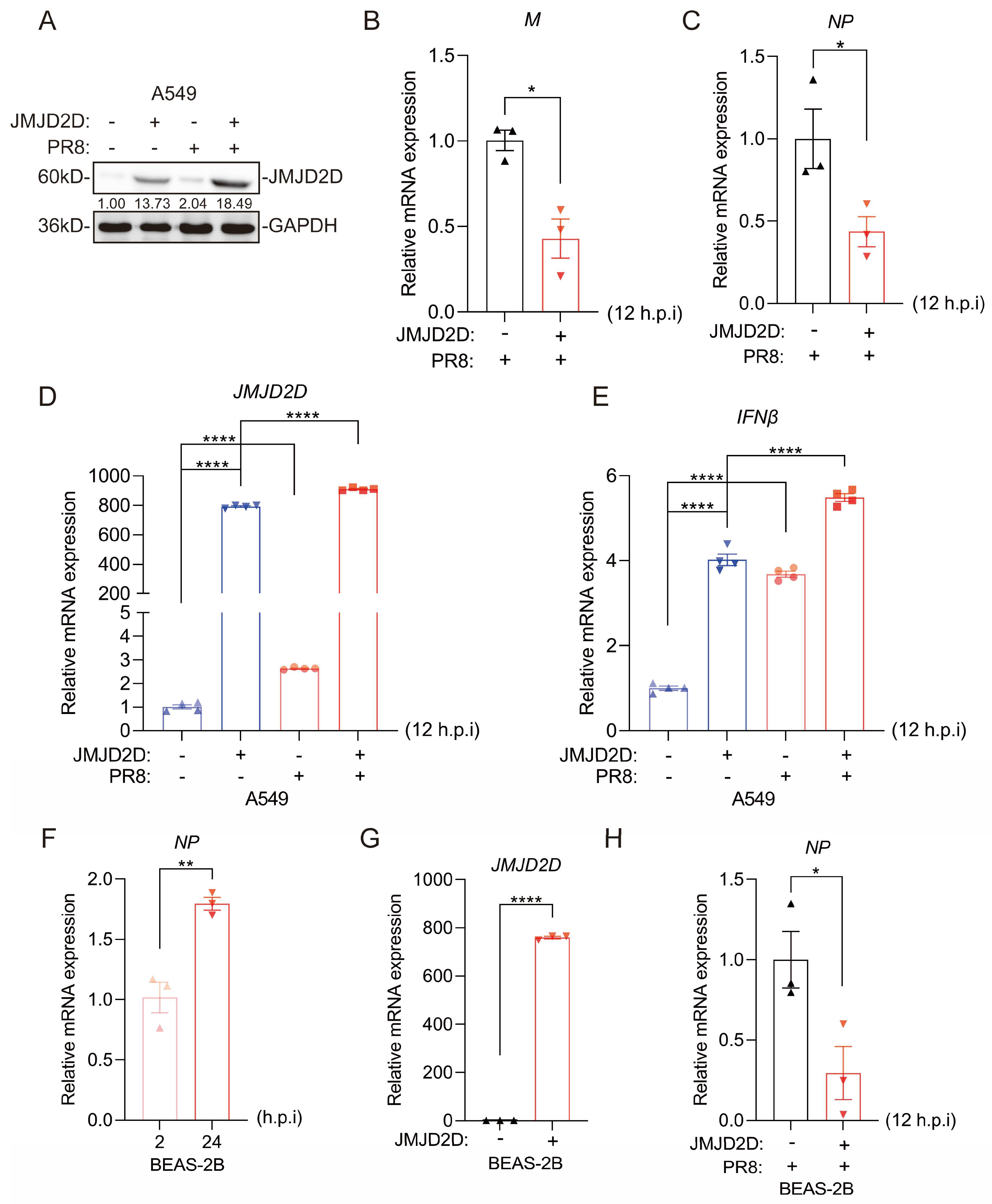 Biomolecules 16 00604 g004 Biomolecules 16 00604 g004