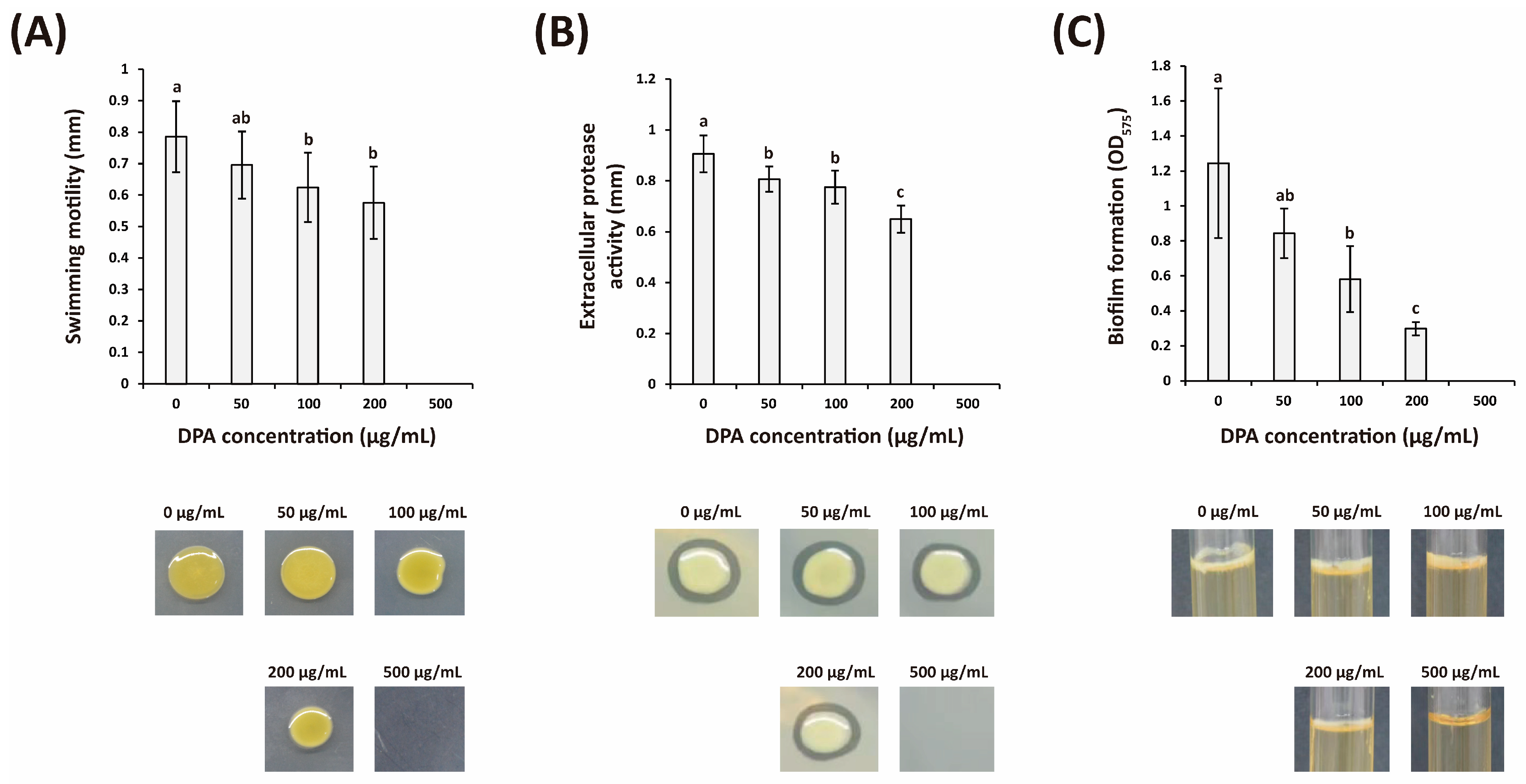 Biomolecules 16 00605 g002 Biomolecules 16 00605 g002