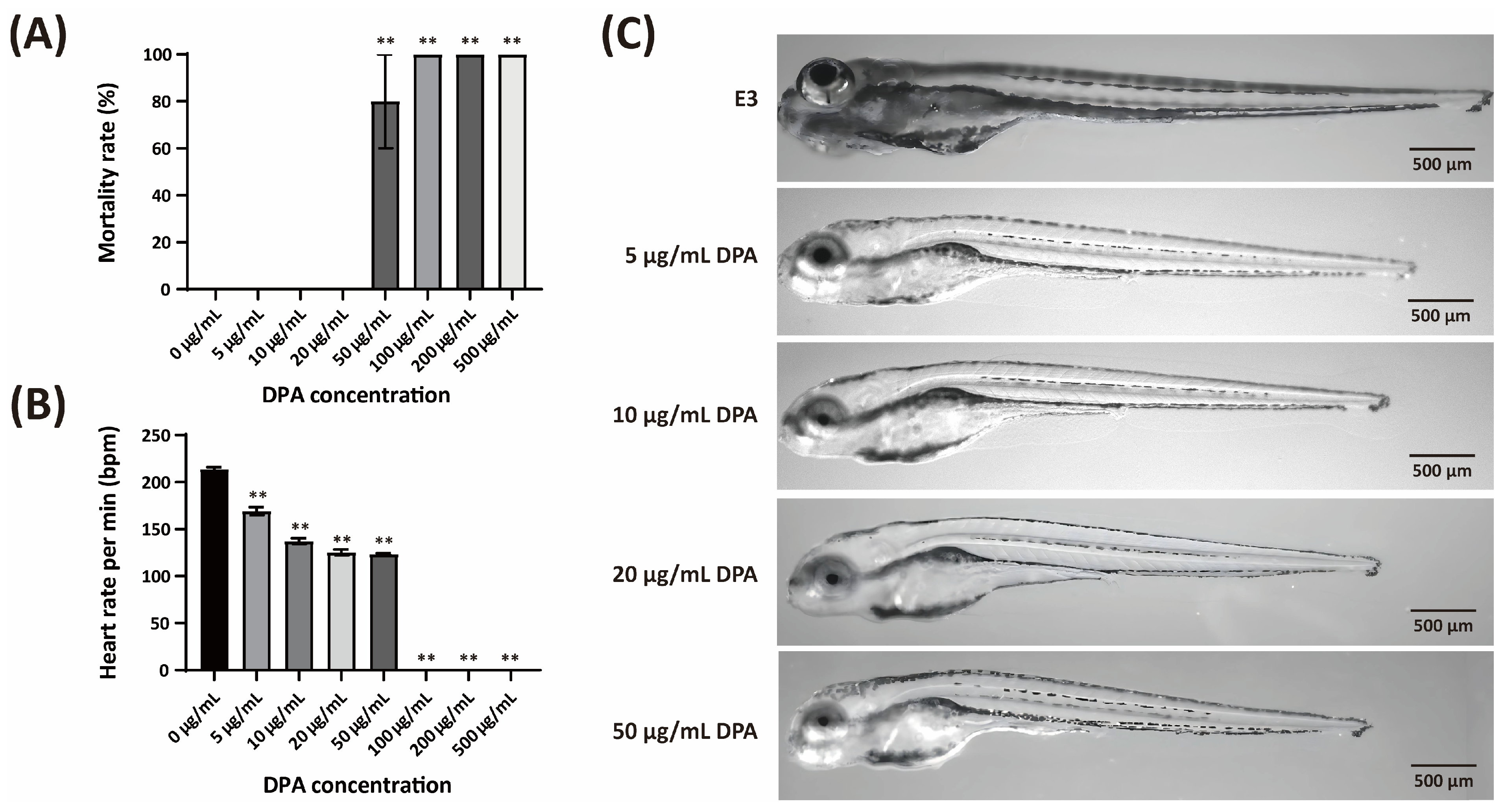 Biomolecules 16 00605 g011 Biomolecules 16 00605 g011
