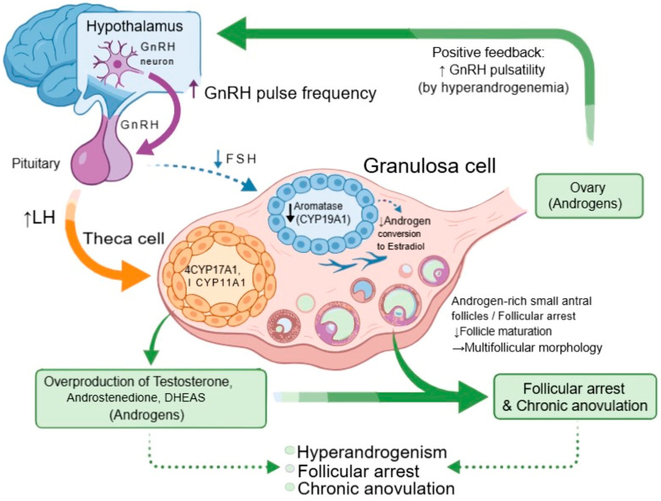 Biomolecules 16 00626 g001 Biomolecules 16 00626 g001