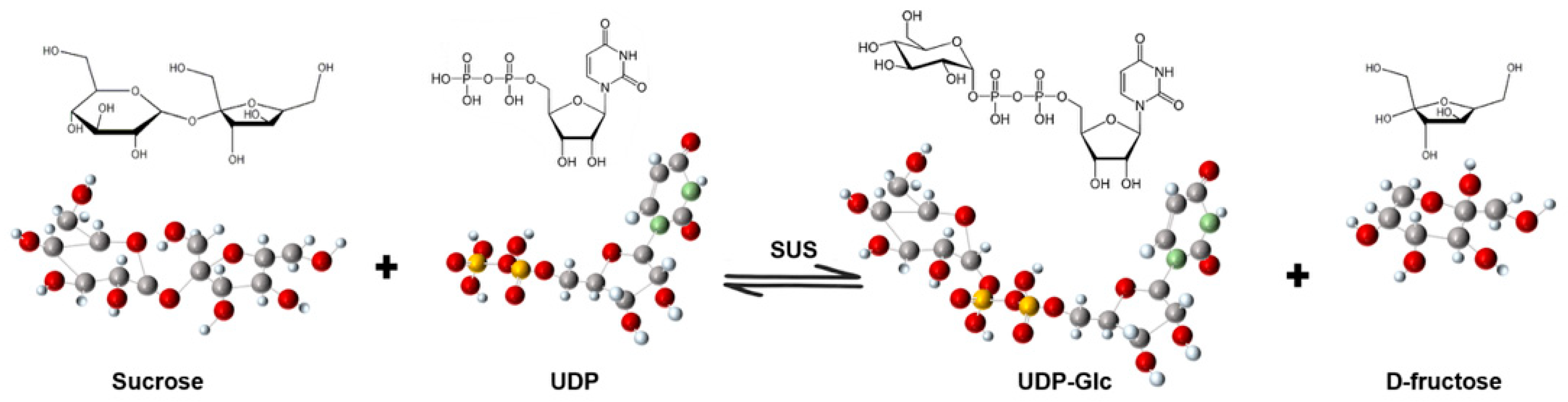 Biomolecules 16 00627 g001 Biomolecules 16 00627 g001