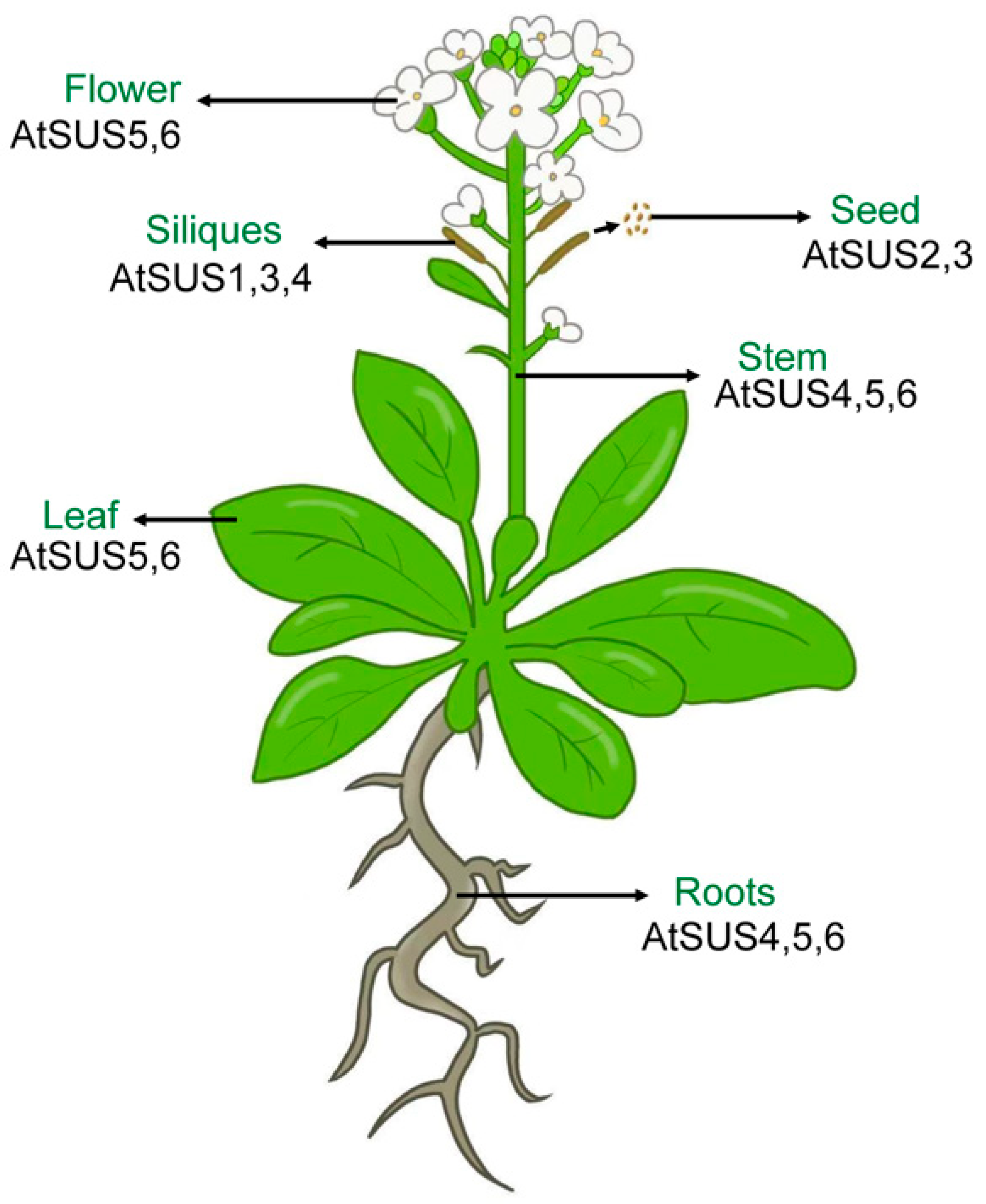 Biomolecules 16 00627 g003 Biomolecules 16 00627 g003