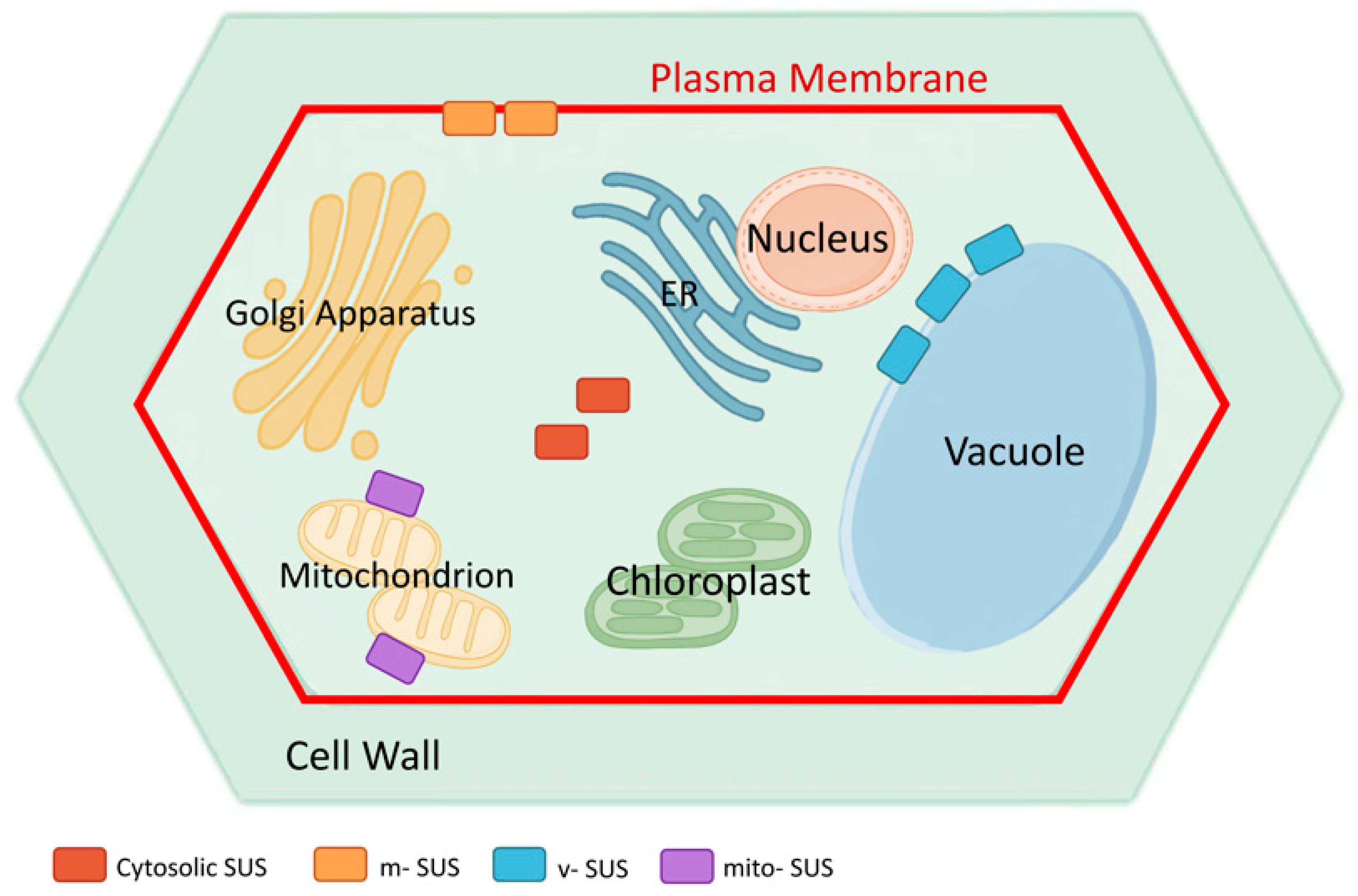 Biomolecules 16 00627 g004 Biomolecules 16 00627 g004