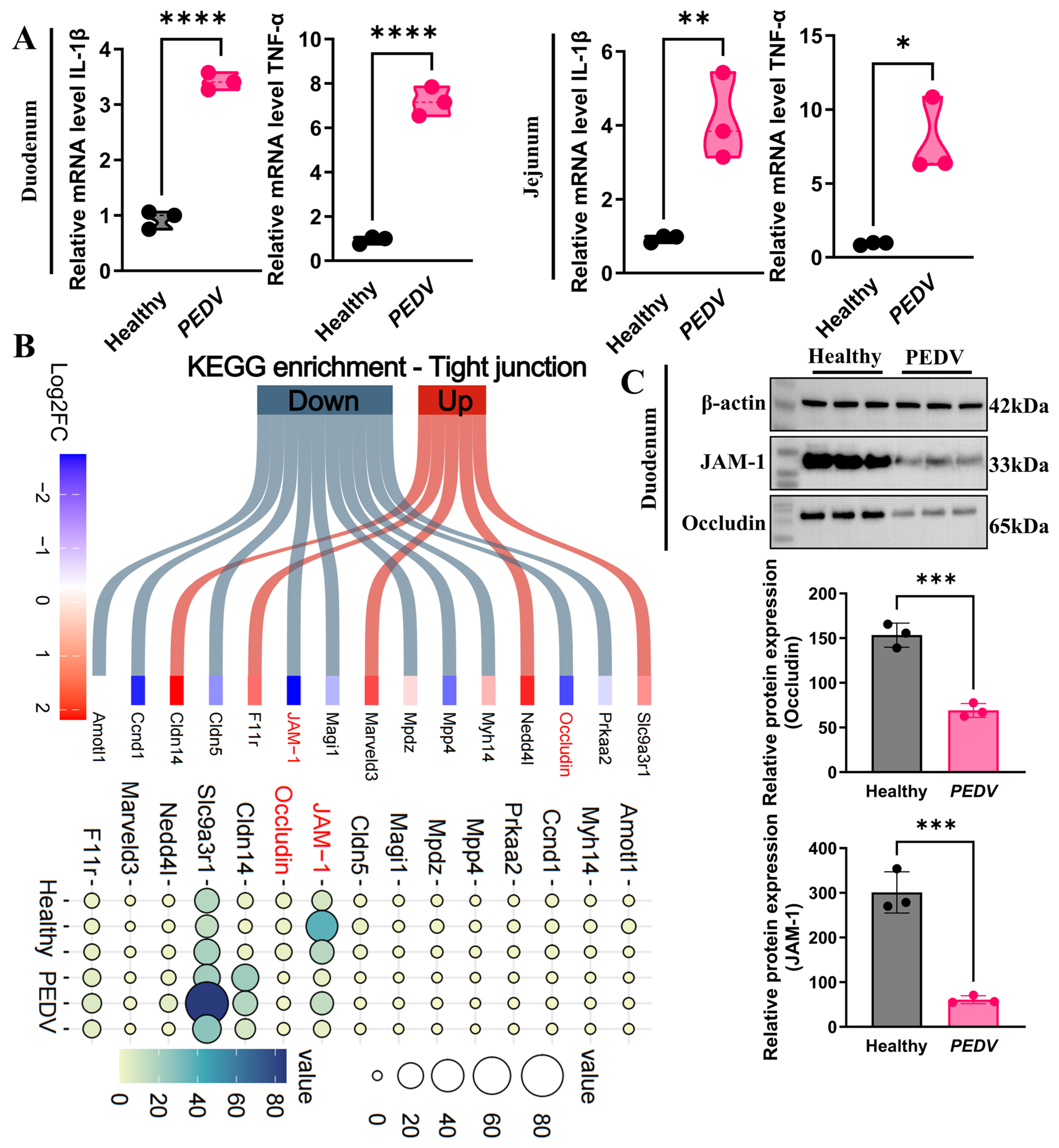 Biomolecules 16 00629 g007 Biomolecules 16 00629 g007