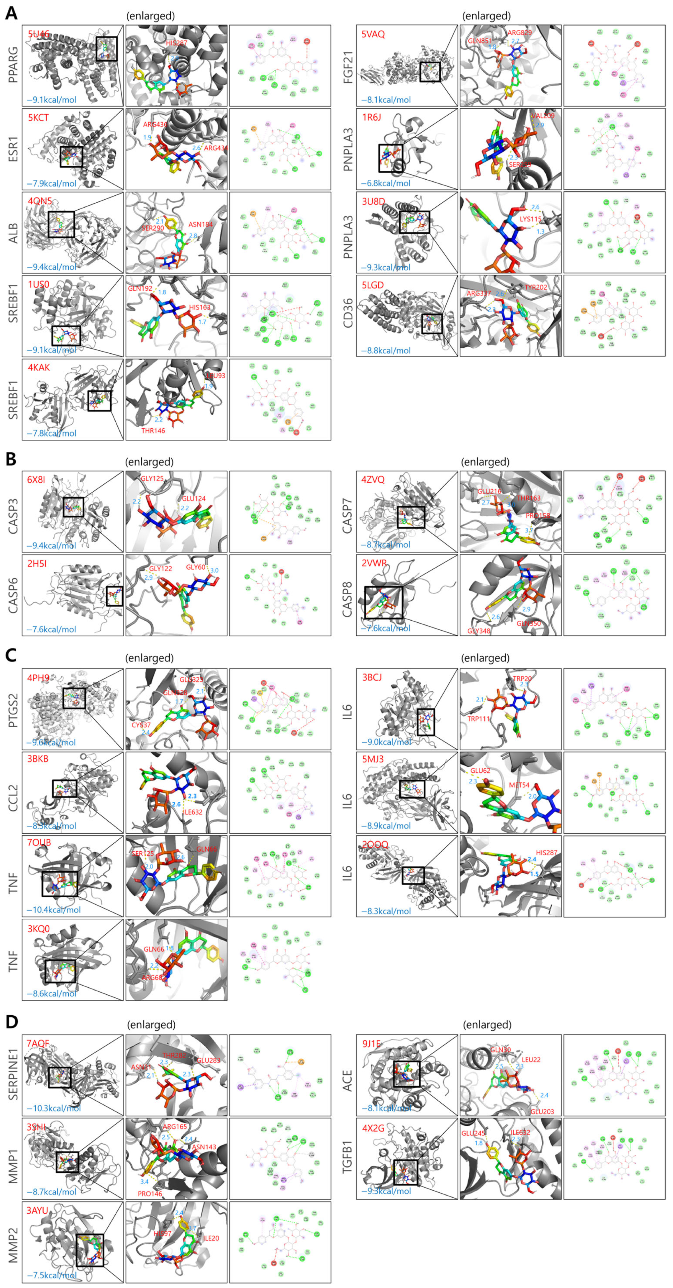 Biomolecules 16 00651 g003 Biomolecules 16 00651 g003