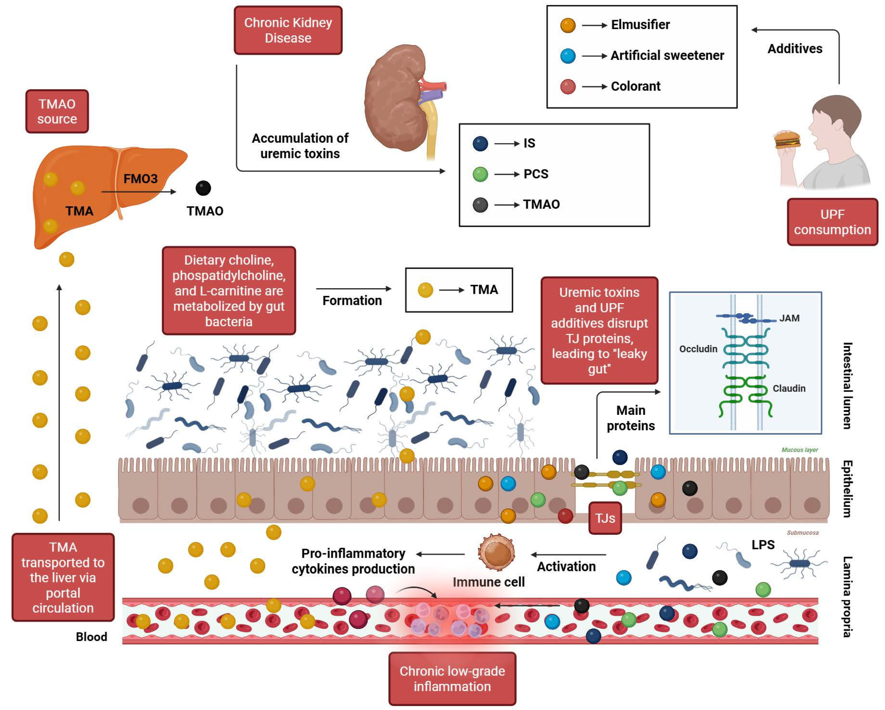 Biomolecules 16 00660 g004 Biomolecules 16 00660 g004