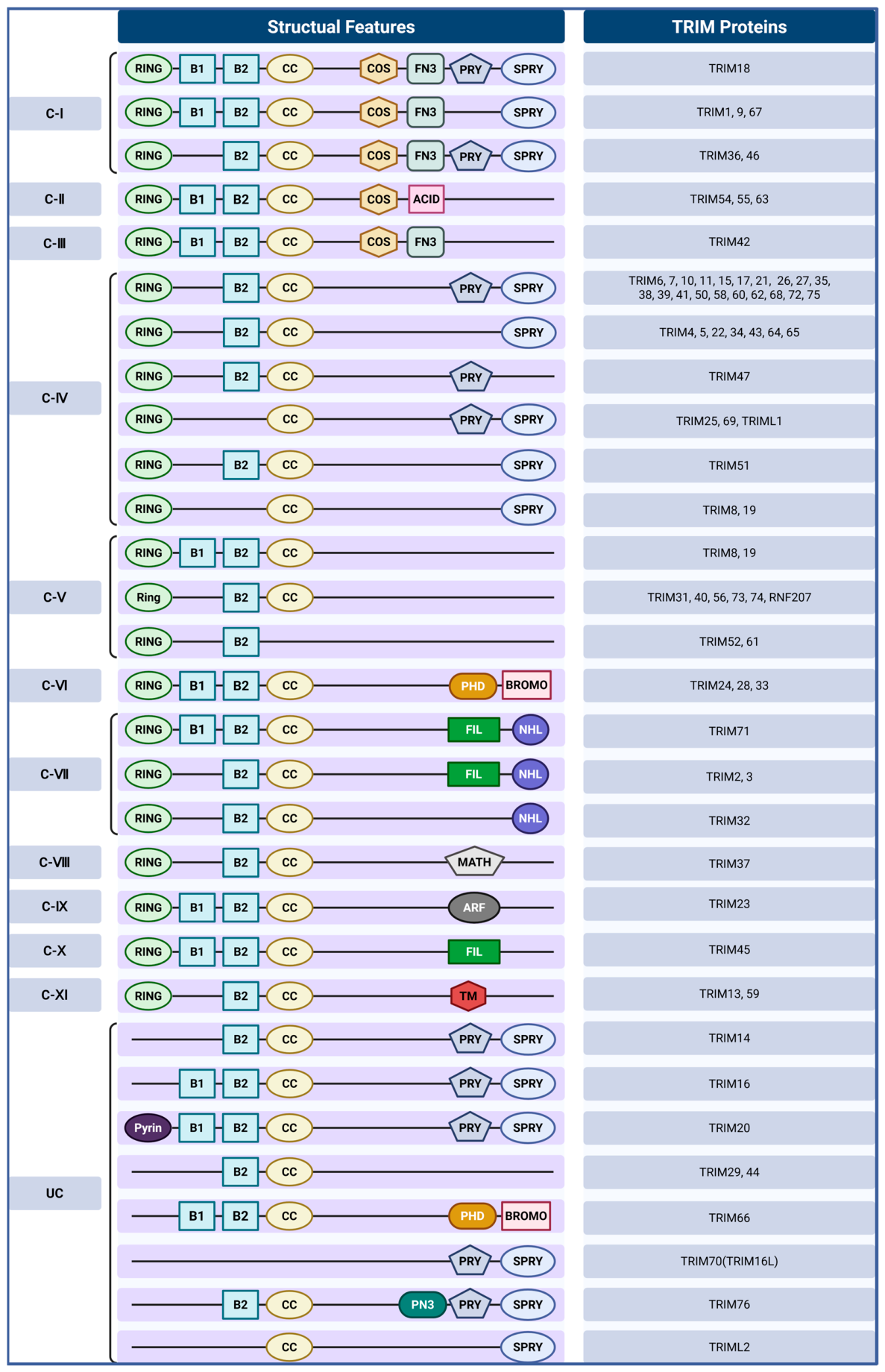 Biomolecules 16 00676 g001 Biomolecules 16 00676 g001