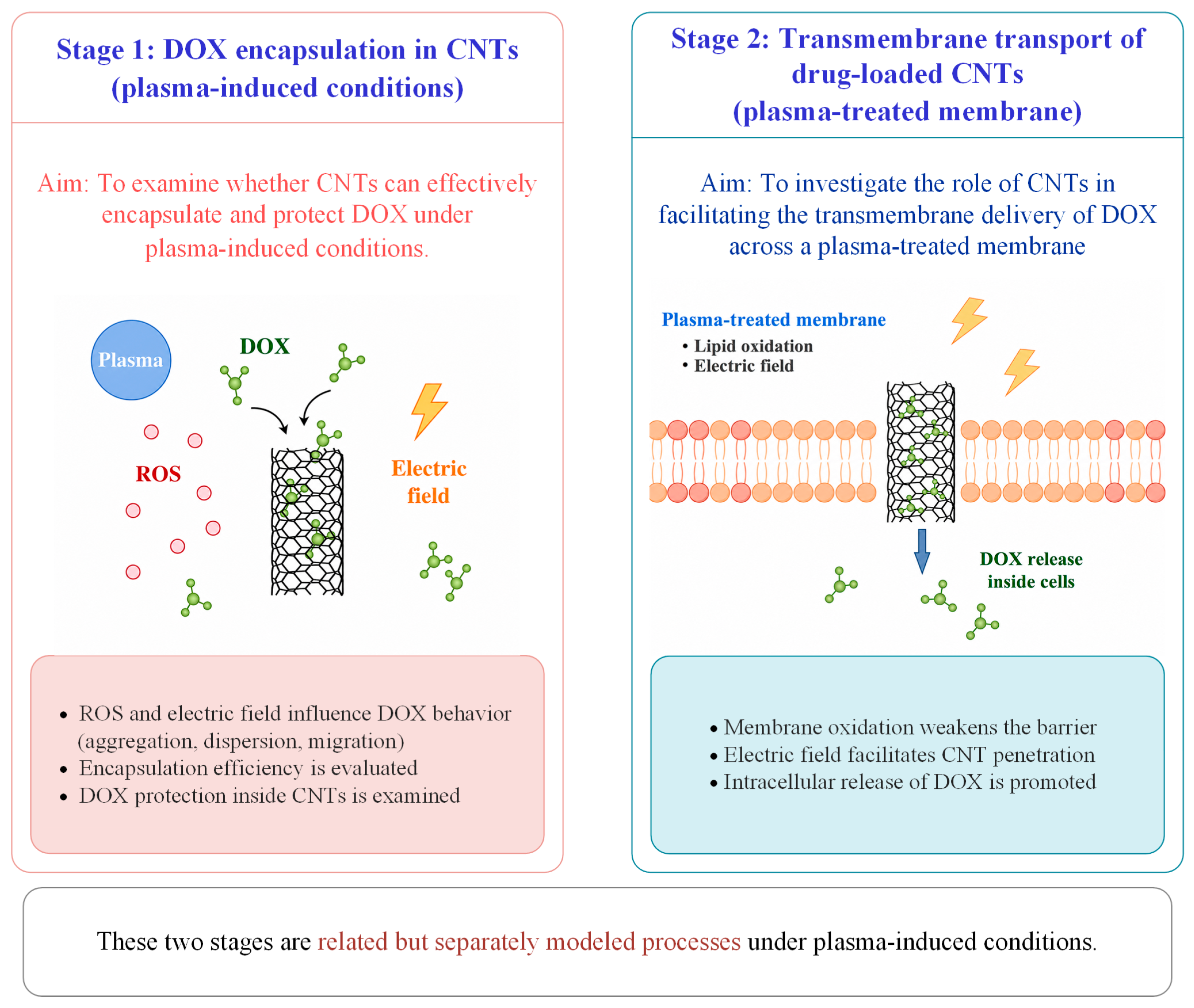 Biomolecules 16 00679 g001 Biomolecules 16 00679 g001