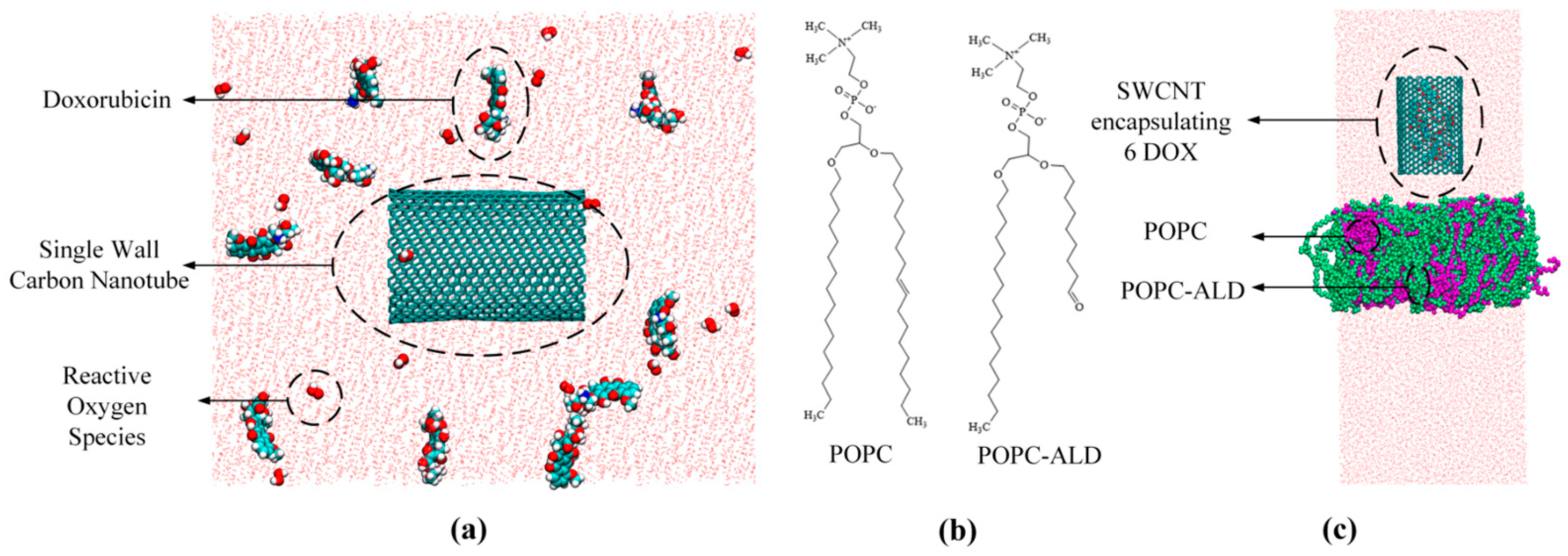 Biomolecules 16 00679 g002 Biomolecules 16 00679 g002
