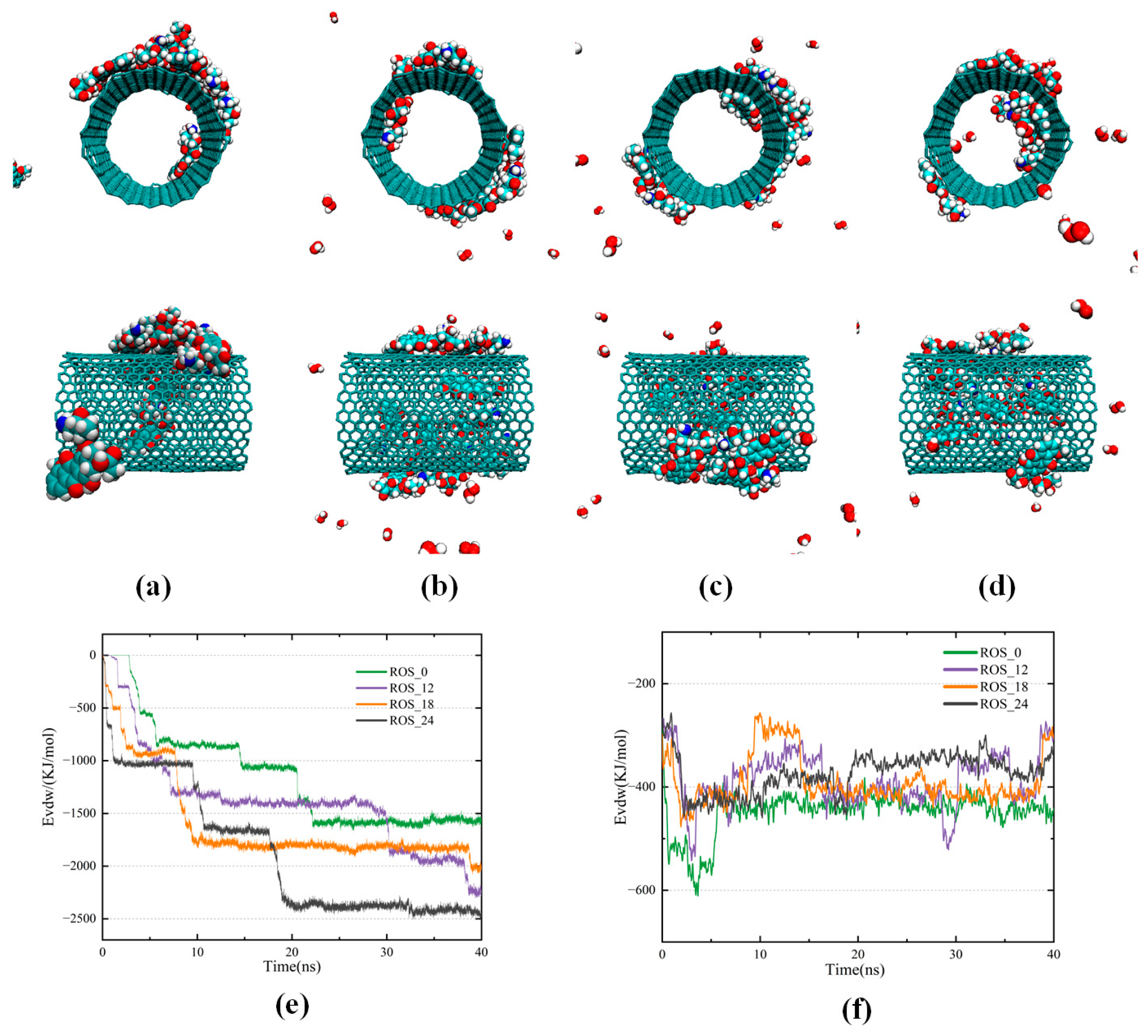 Biomolecules 16 00679 g003 Biomolecules 16 00679 g003