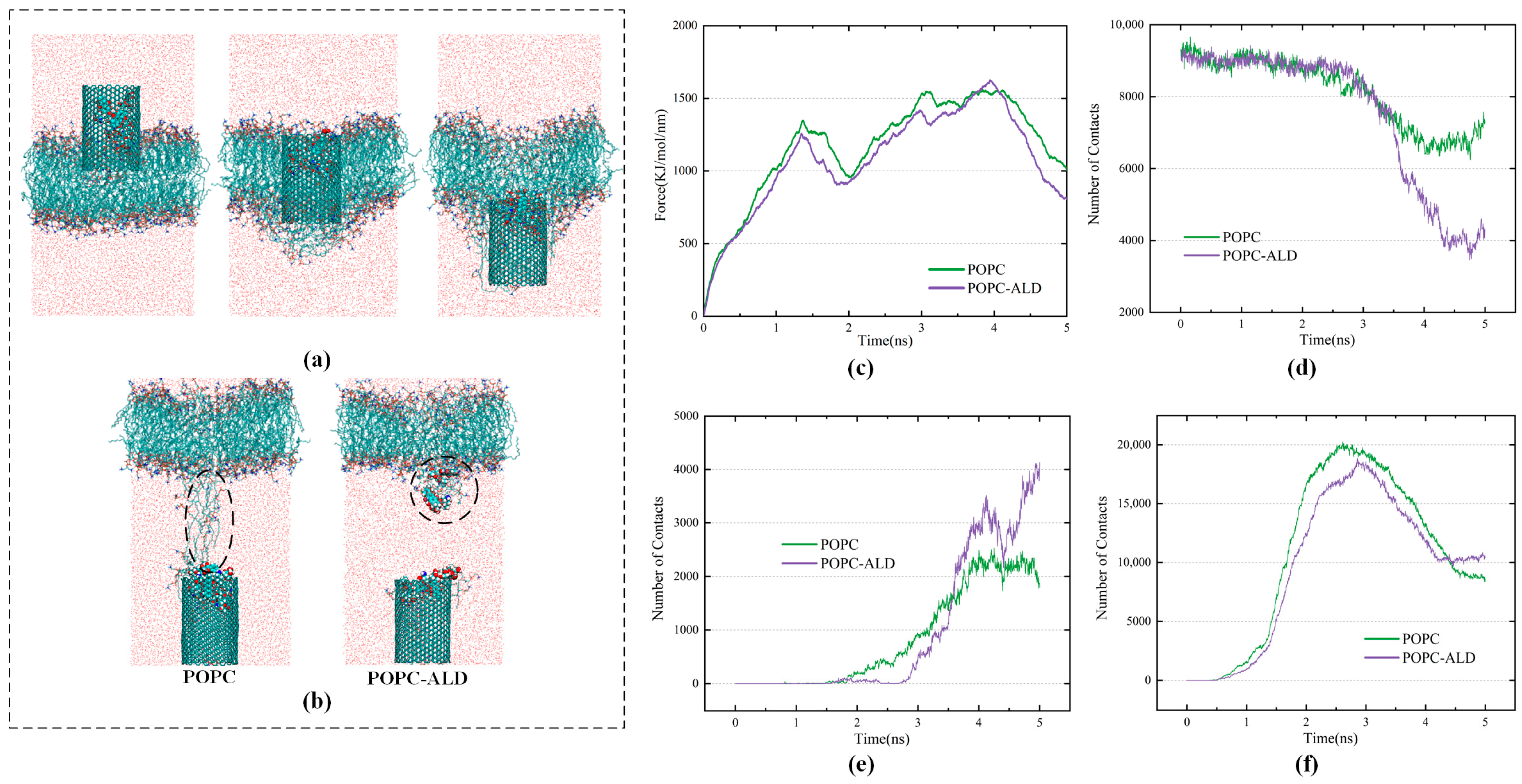 Biomolecules 16 00679 g006 Biomolecules 16 00679 g006