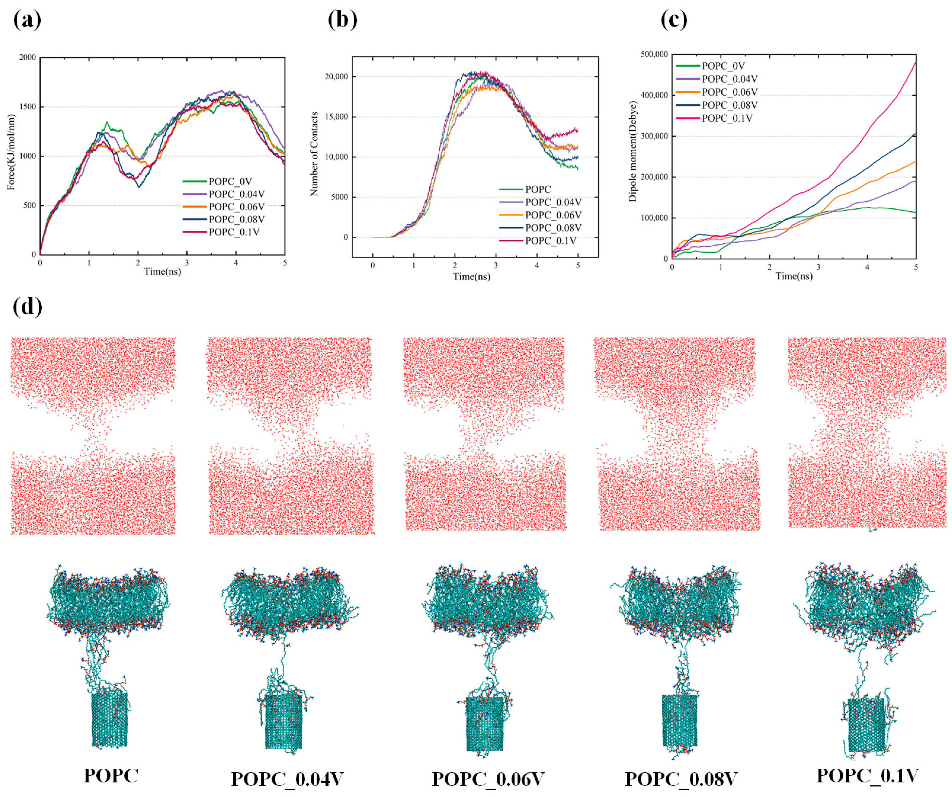Biomolecules 16 00679 g007 Biomolecules 16 00679 g007