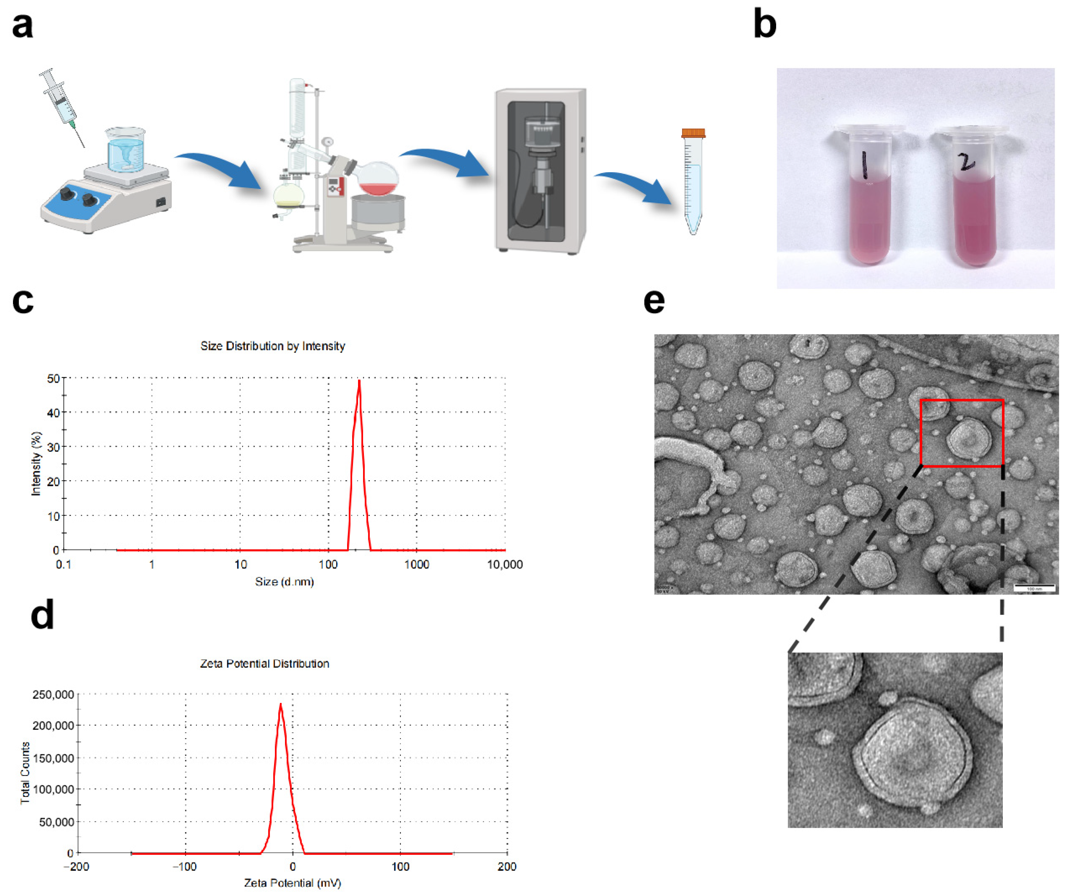 Biomolecules 16 00703 g001 Biomolecules 16 00703 g001