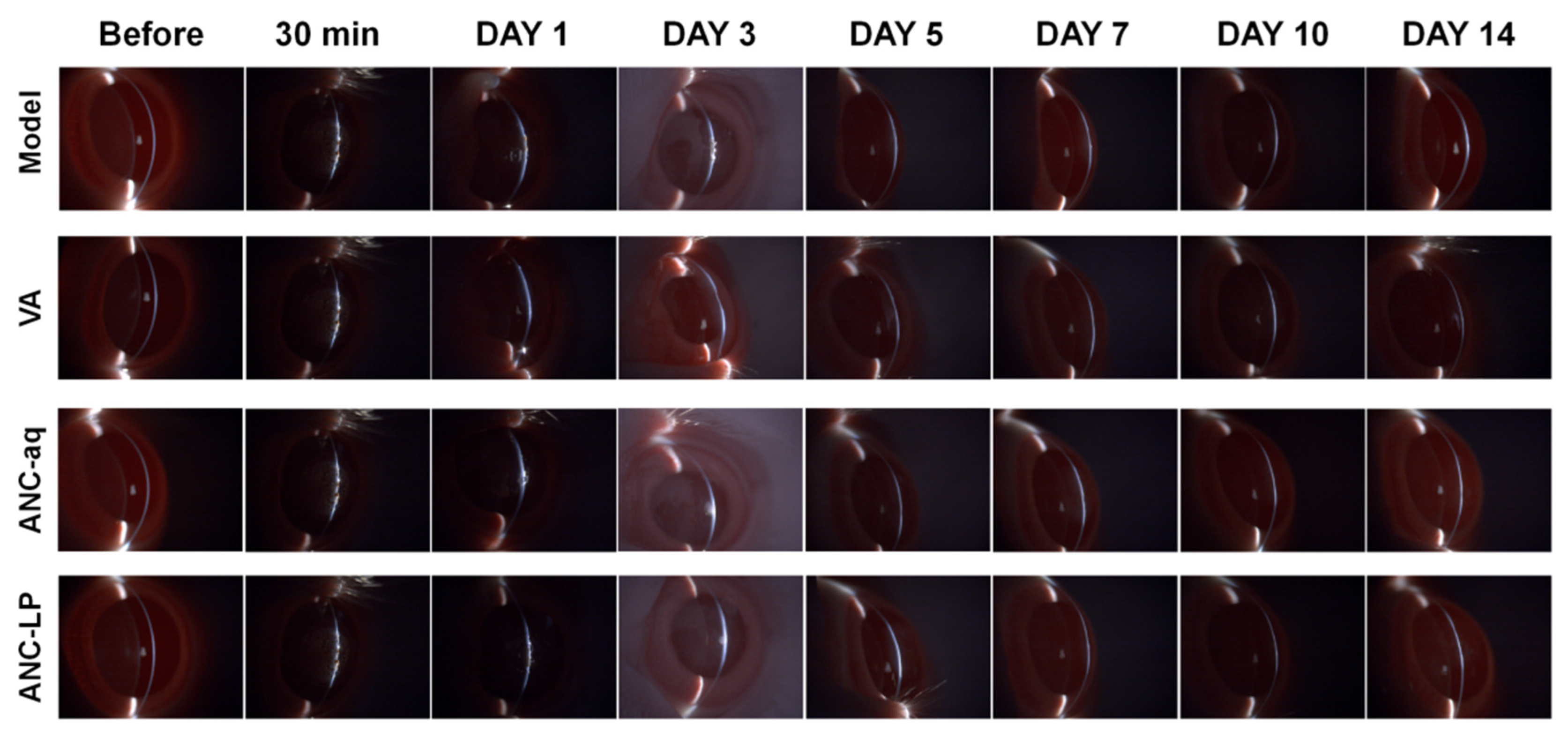 Biomolecules 16 00703 g003 Biomolecules 16 00703 g003