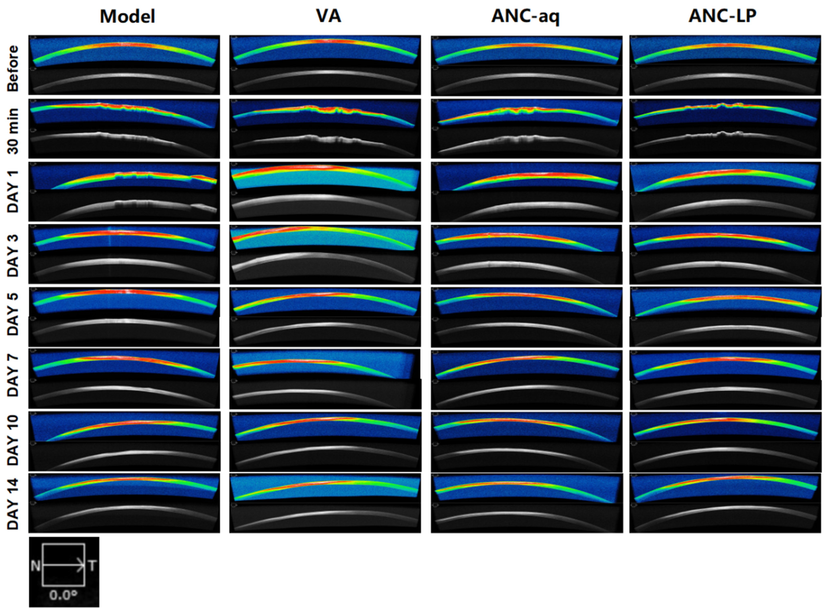 Biomolecules 16 00703 g004 Biomolecules 16 00703 g004
