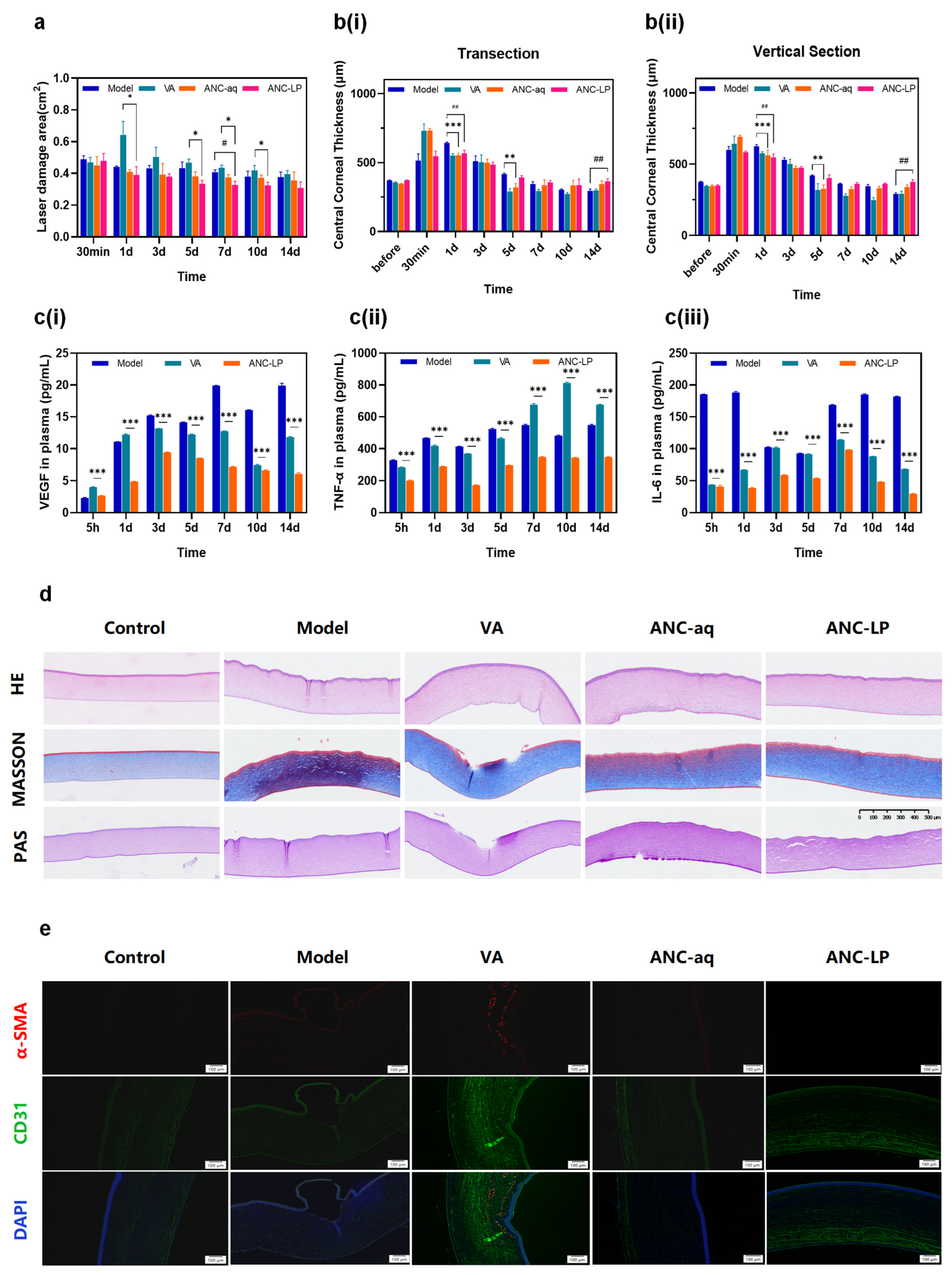 Biomolecules 16 00703 g005 Biomolecules 16 00703 g005