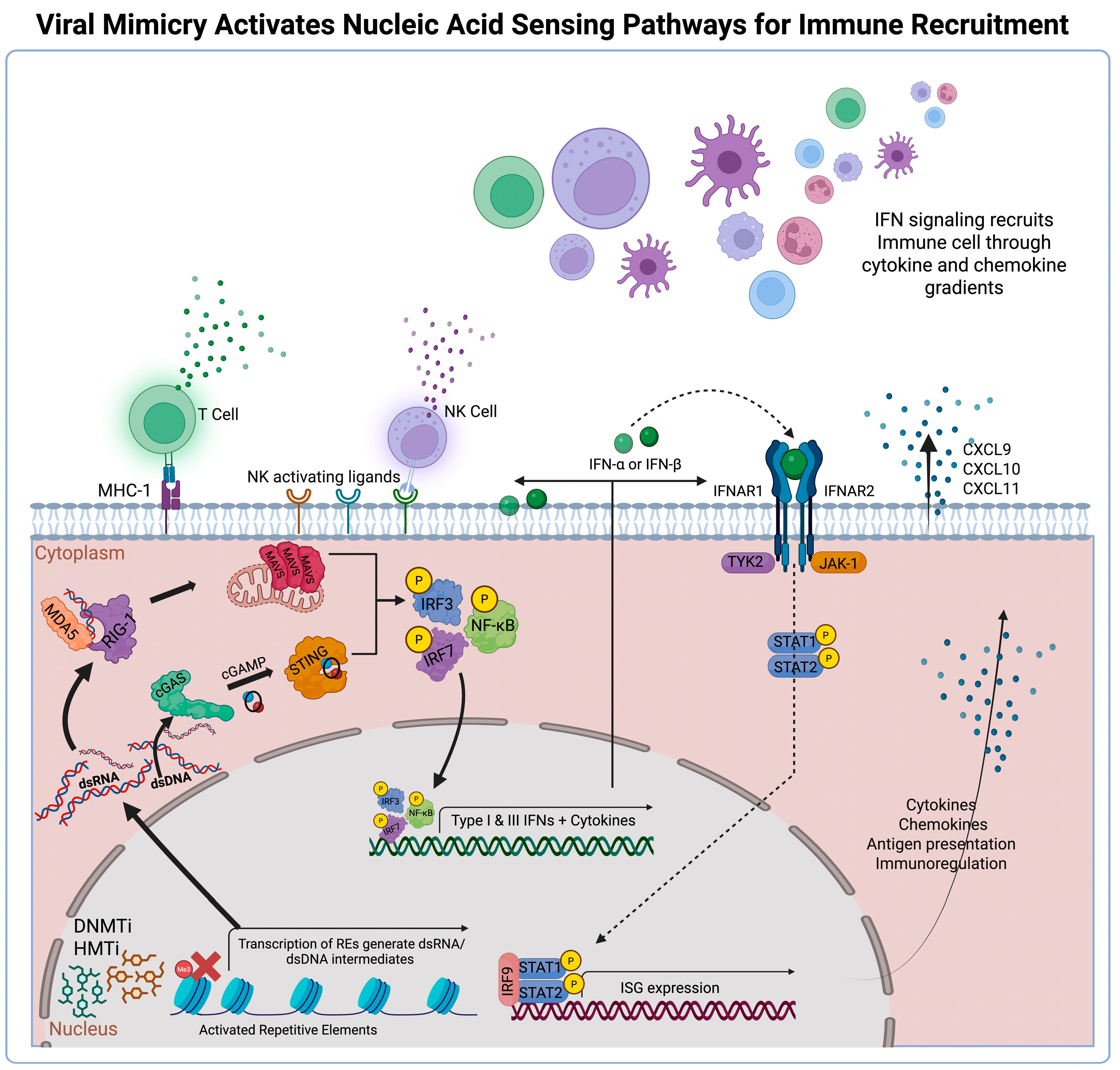 Biomolecules 16 00709 g002 Biomolecules 16 00709 g002