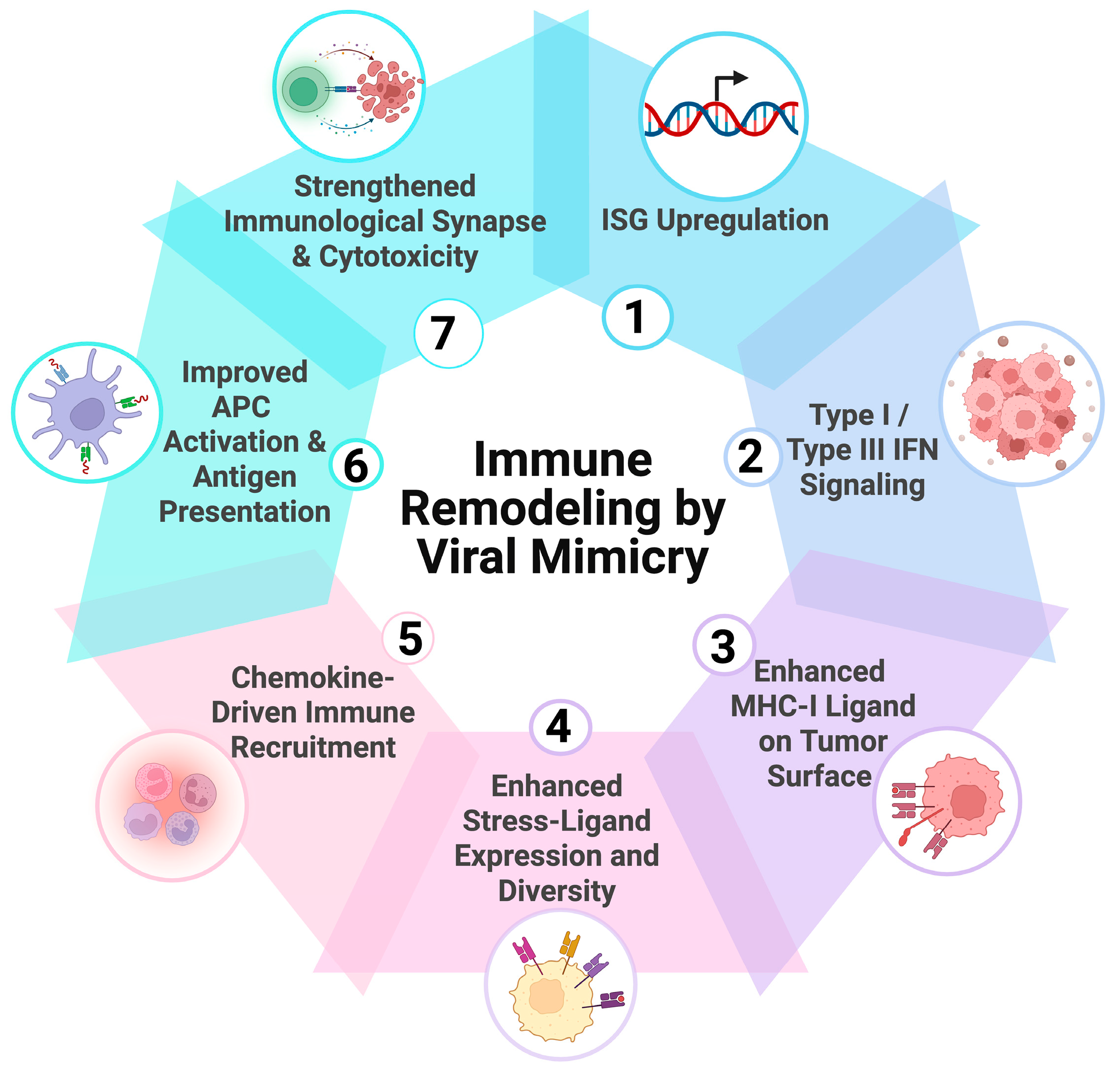 Biomolecules 16 00709 g003 Biomolecules 16 00709 g003