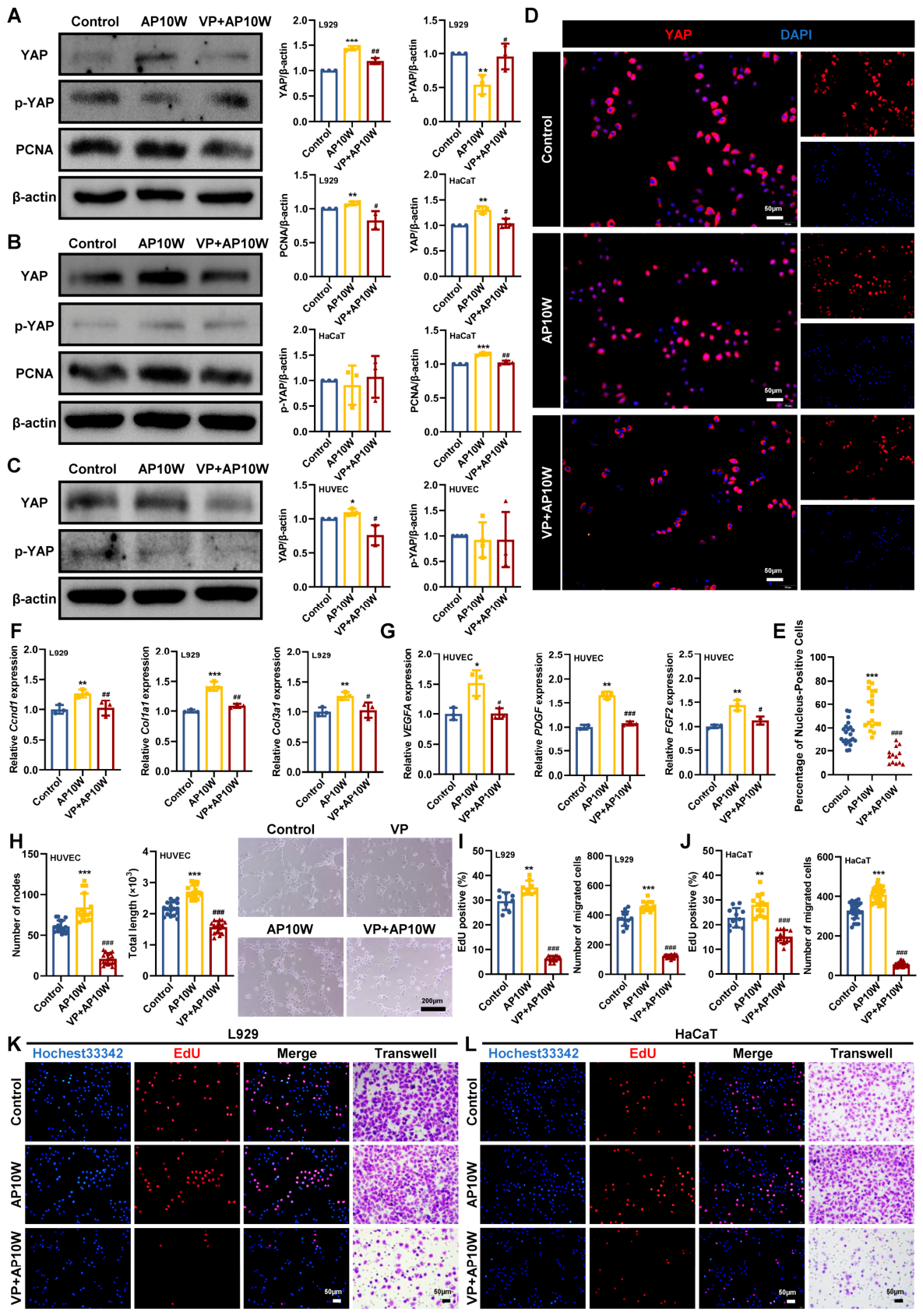 Biomolecules 16 00720 g005