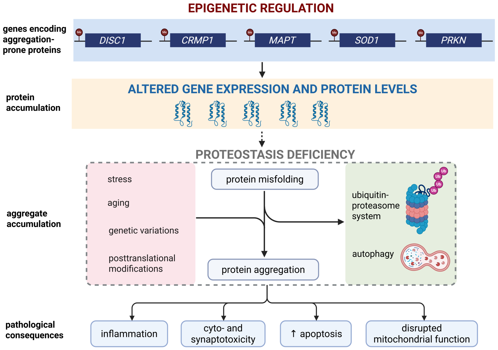 Biomolecules 16 00733 g001 Biomolecules 16 00733 g001