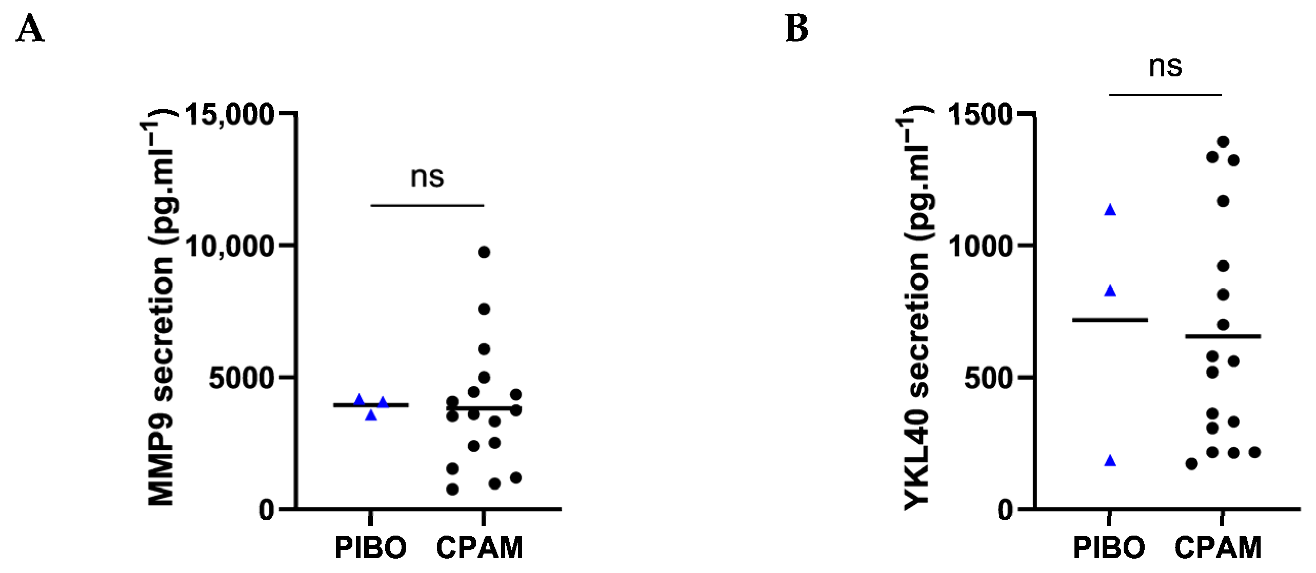 Biomolecules 16 00736 g006 Biomolecules 16 00736 g006
