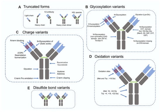 Biomolecules 16 00738 g001