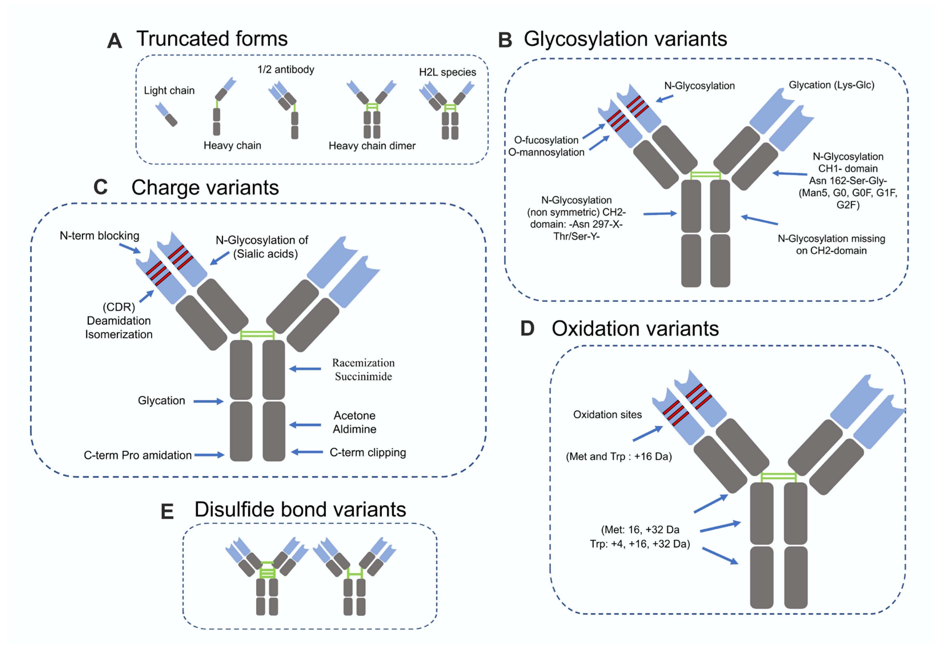 Biomolecules 16 00738 g001 Biomolecules 16 00738 g001