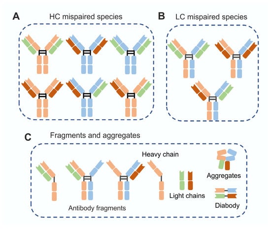 Biomolecules 16 00738 g002