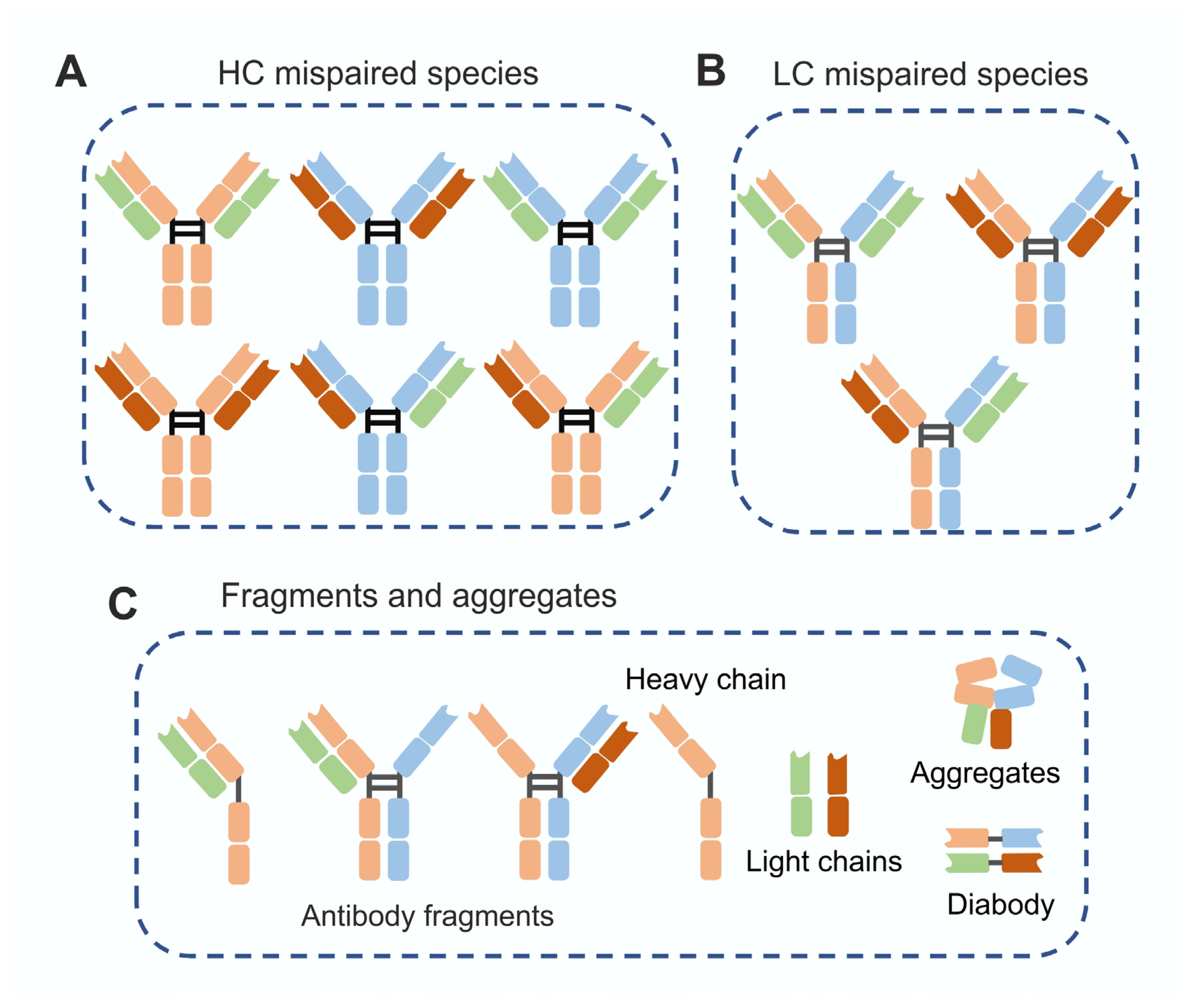 Biomolecules 16 00738 g002 Biomolecules 16 00738 g002