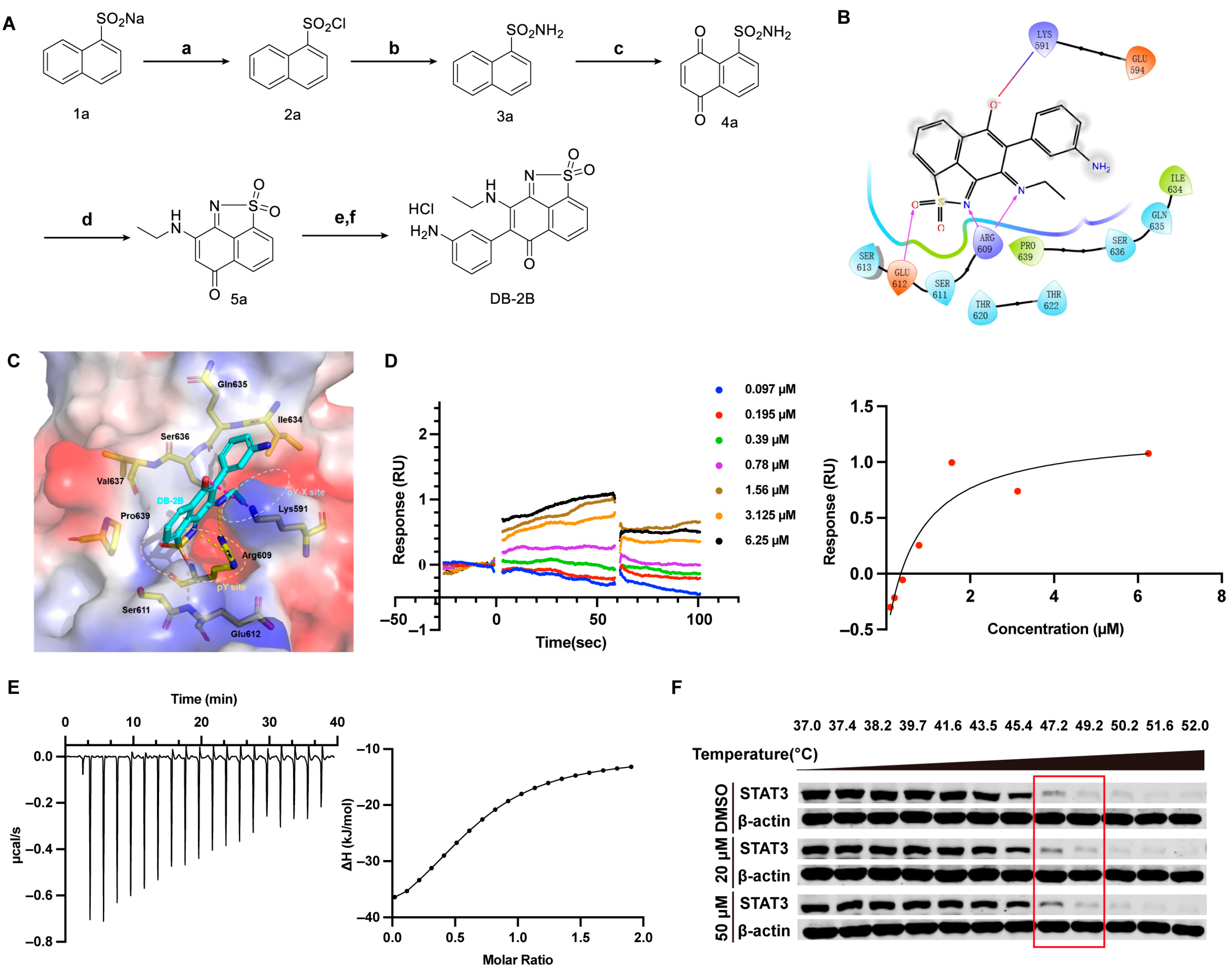 Biomolecules 16 00752 g001