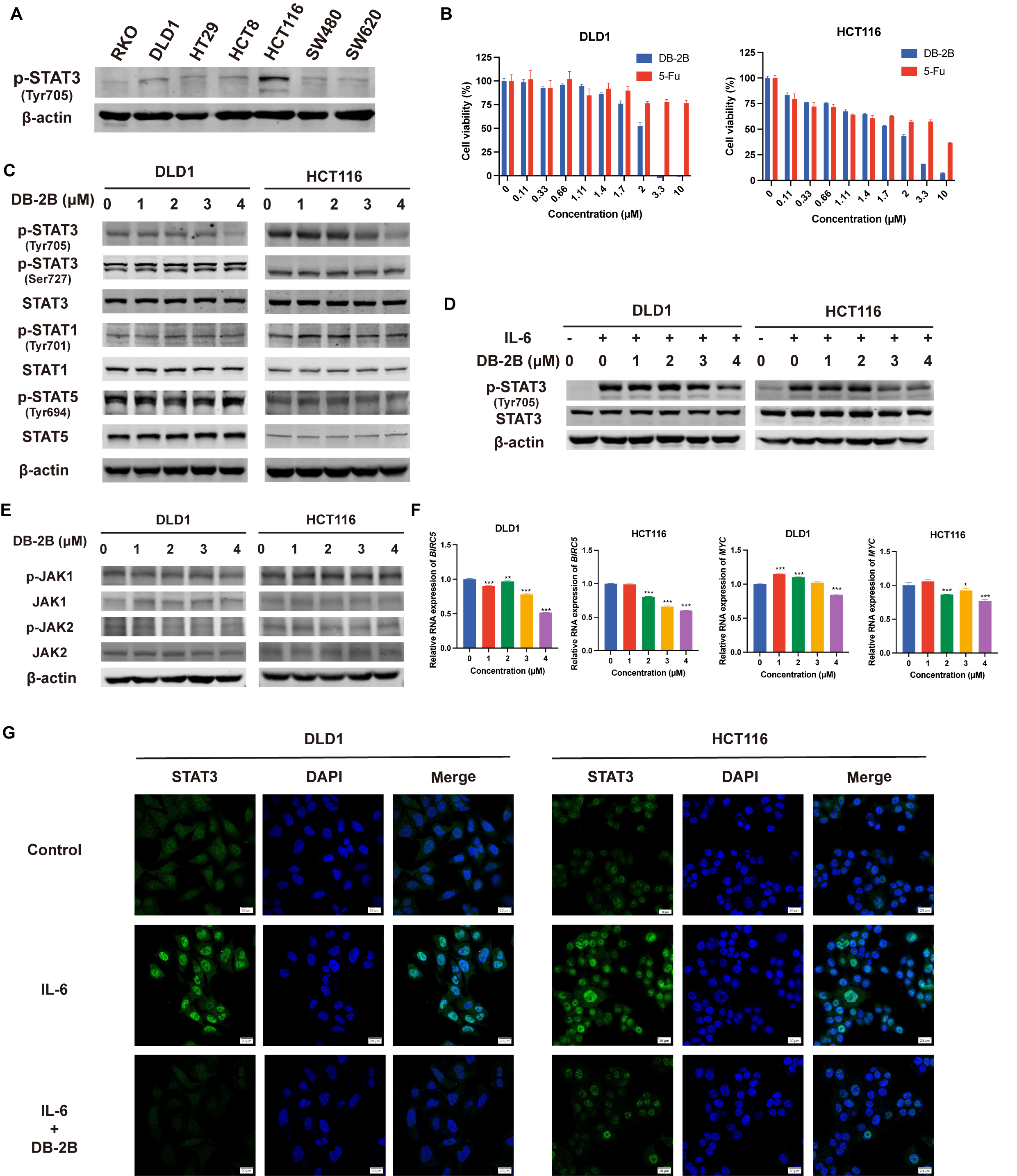 Biomolecules 16 00752 g002