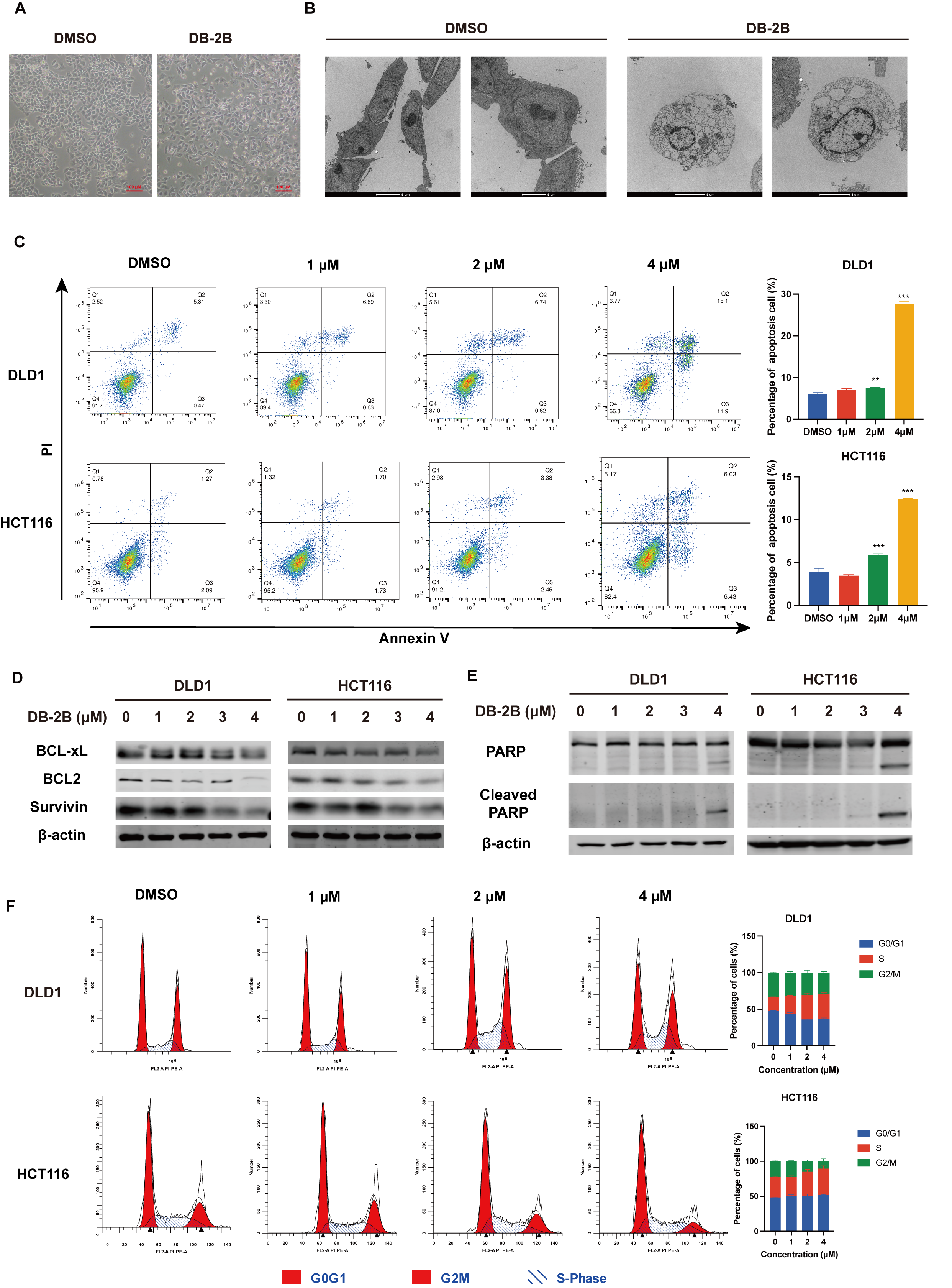 Biomolecules 16 00752 g004