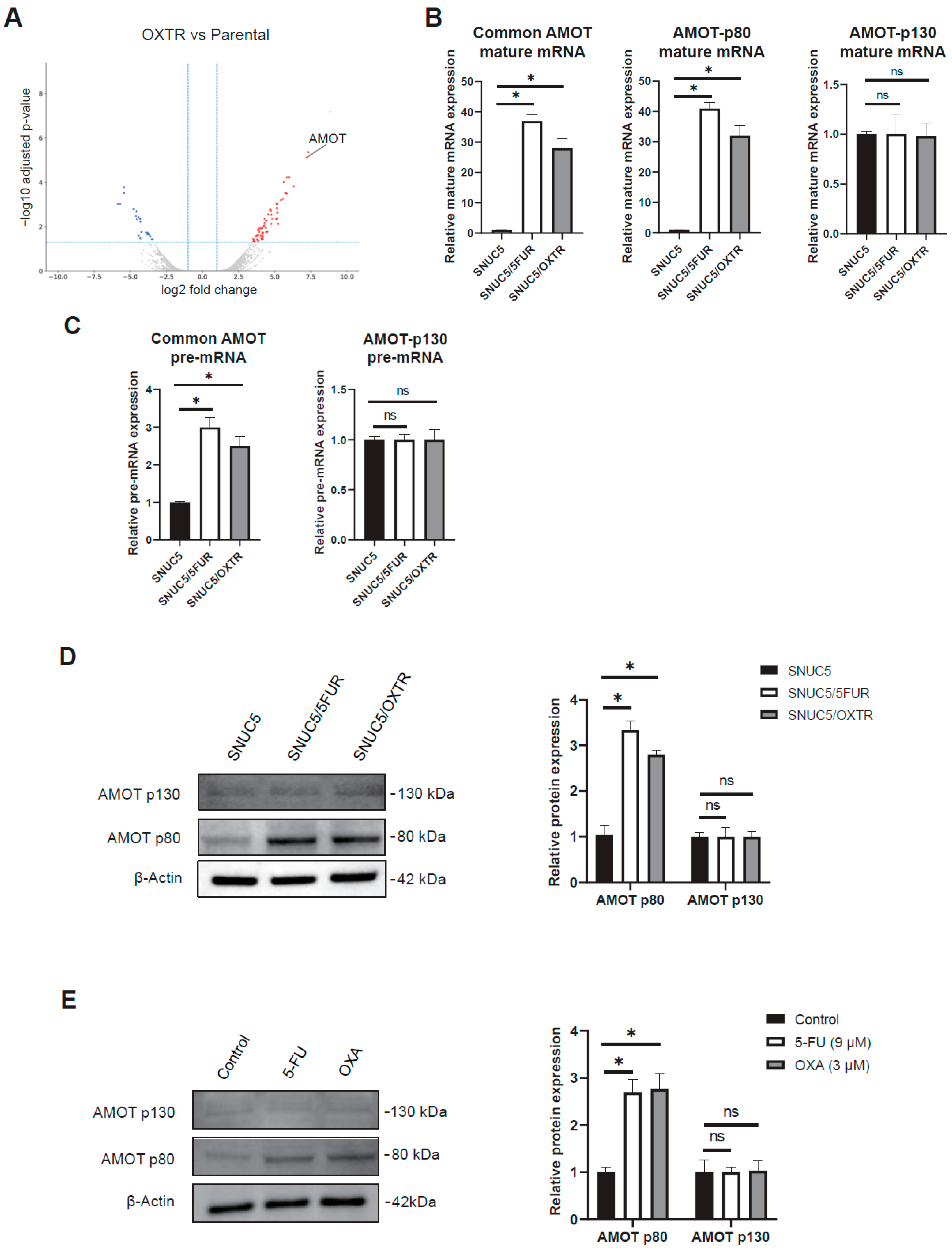 Biomolecules 16 00767 g001 Biomolecules 16 00767 g001