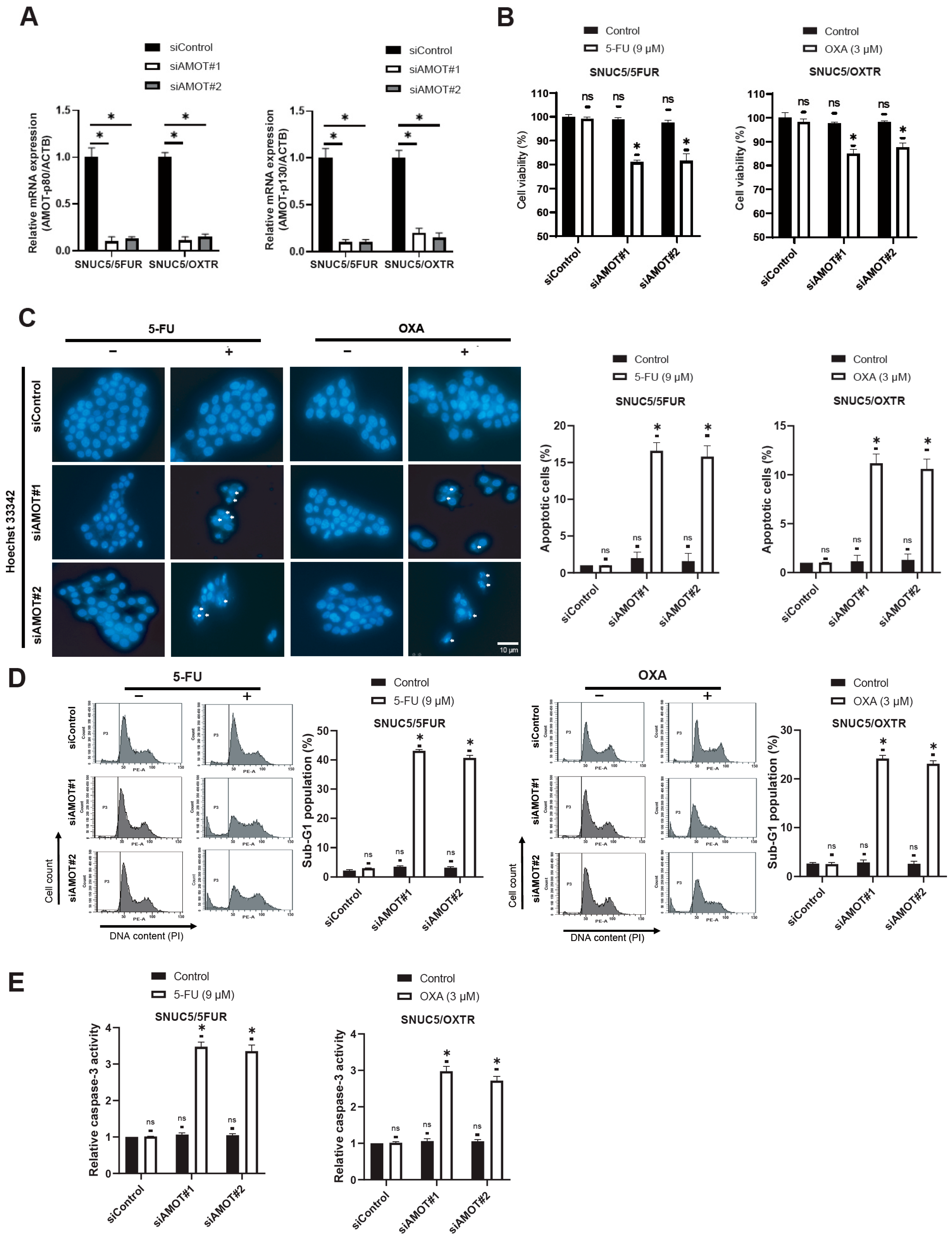 Biomolecules 16 00767 g002 Biomolecules 16 00767 g002