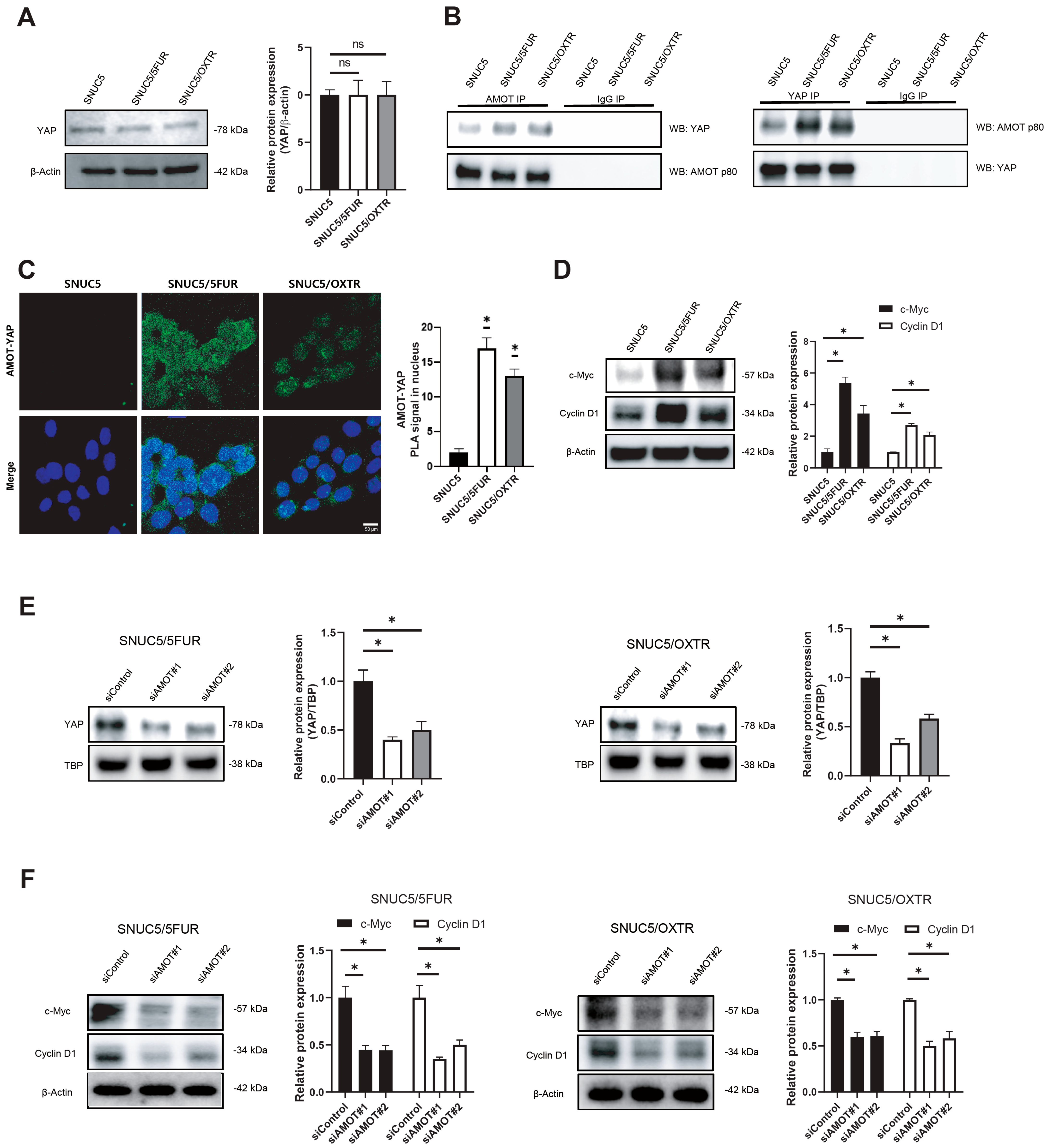 Biomolecules 16 00767 g003 Biomolecules 16 00767 g003