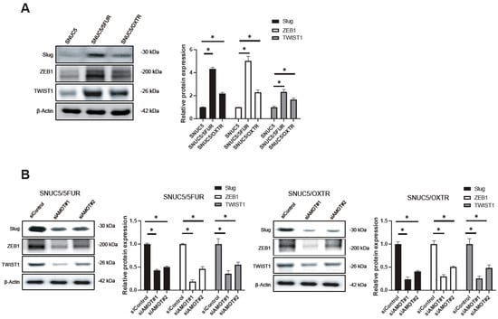 Biomolecules 16 00767 g004a Biomolecules 16 00767 g004a