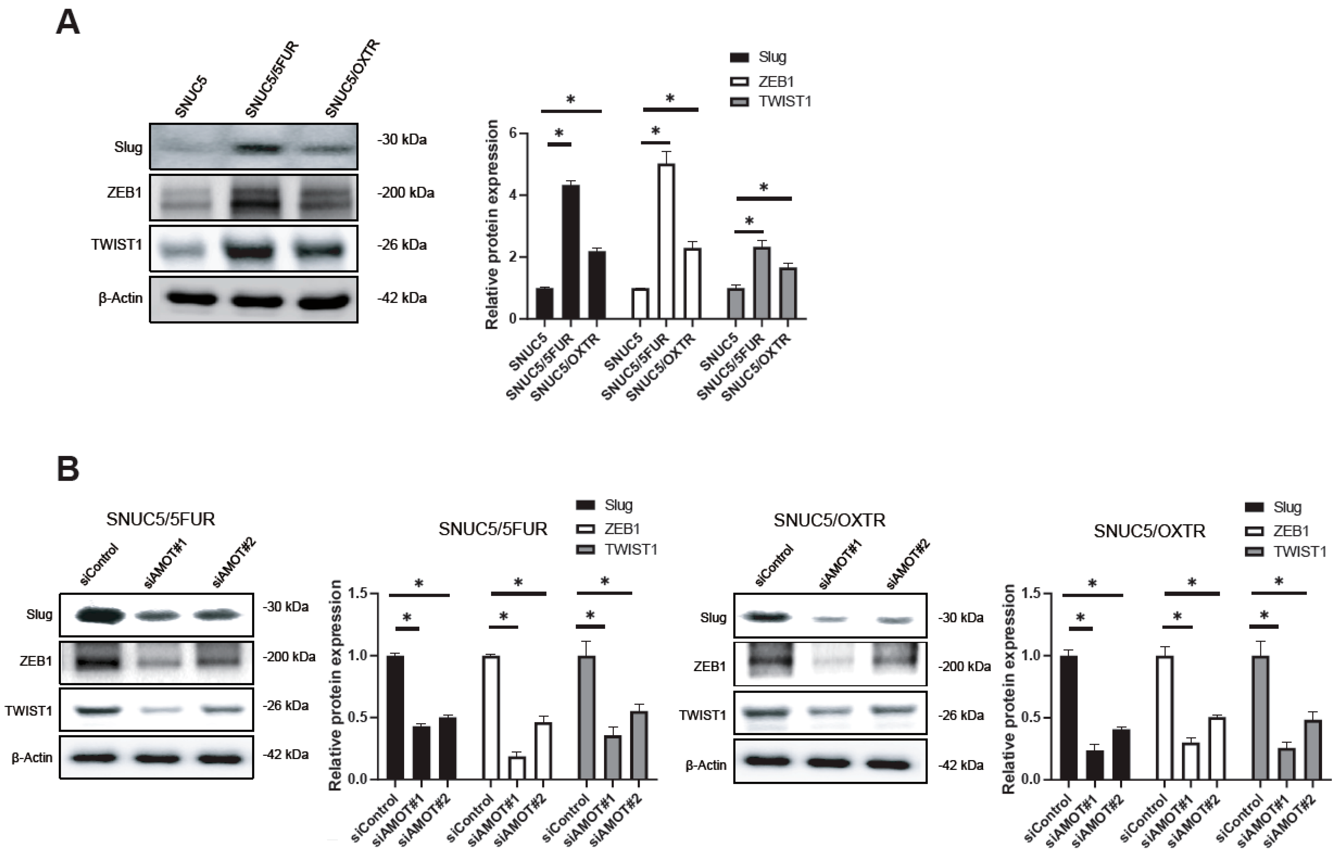 Biomolecules 16 00767 g004a Biomolecules 16 00767 g004a