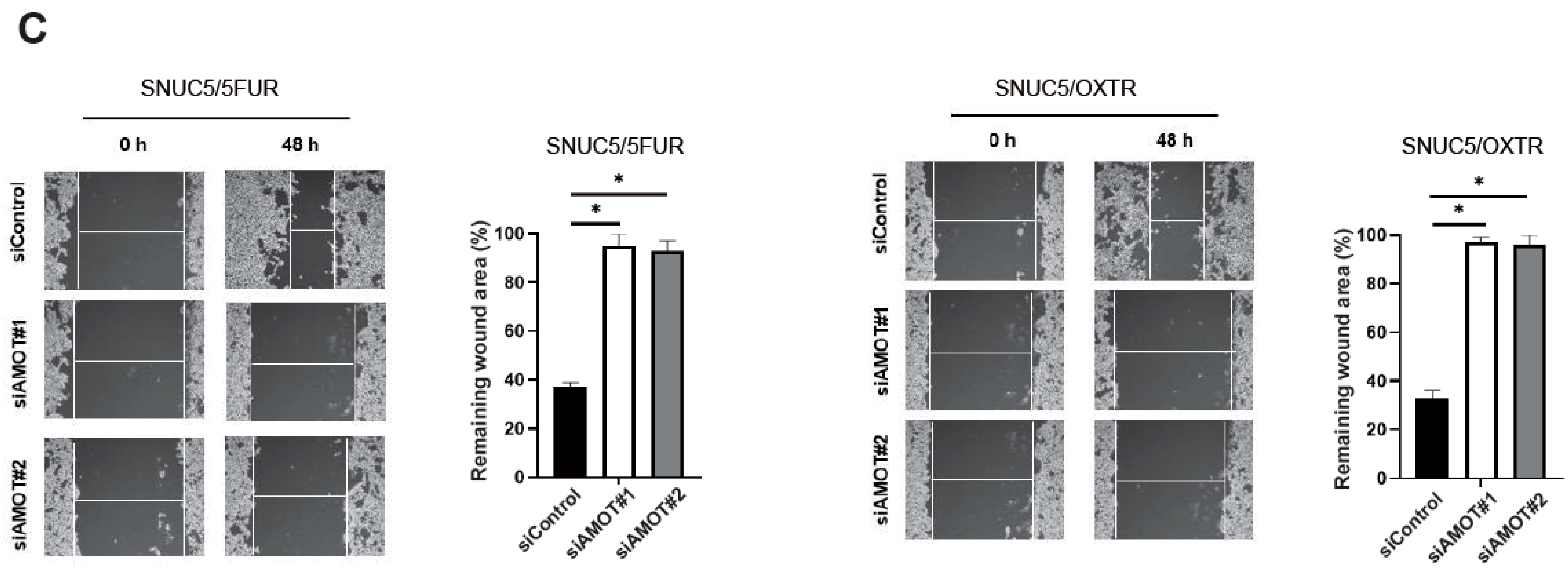 Biomolecules 16 00767 g004b Biomolecules 16 00767 g004b