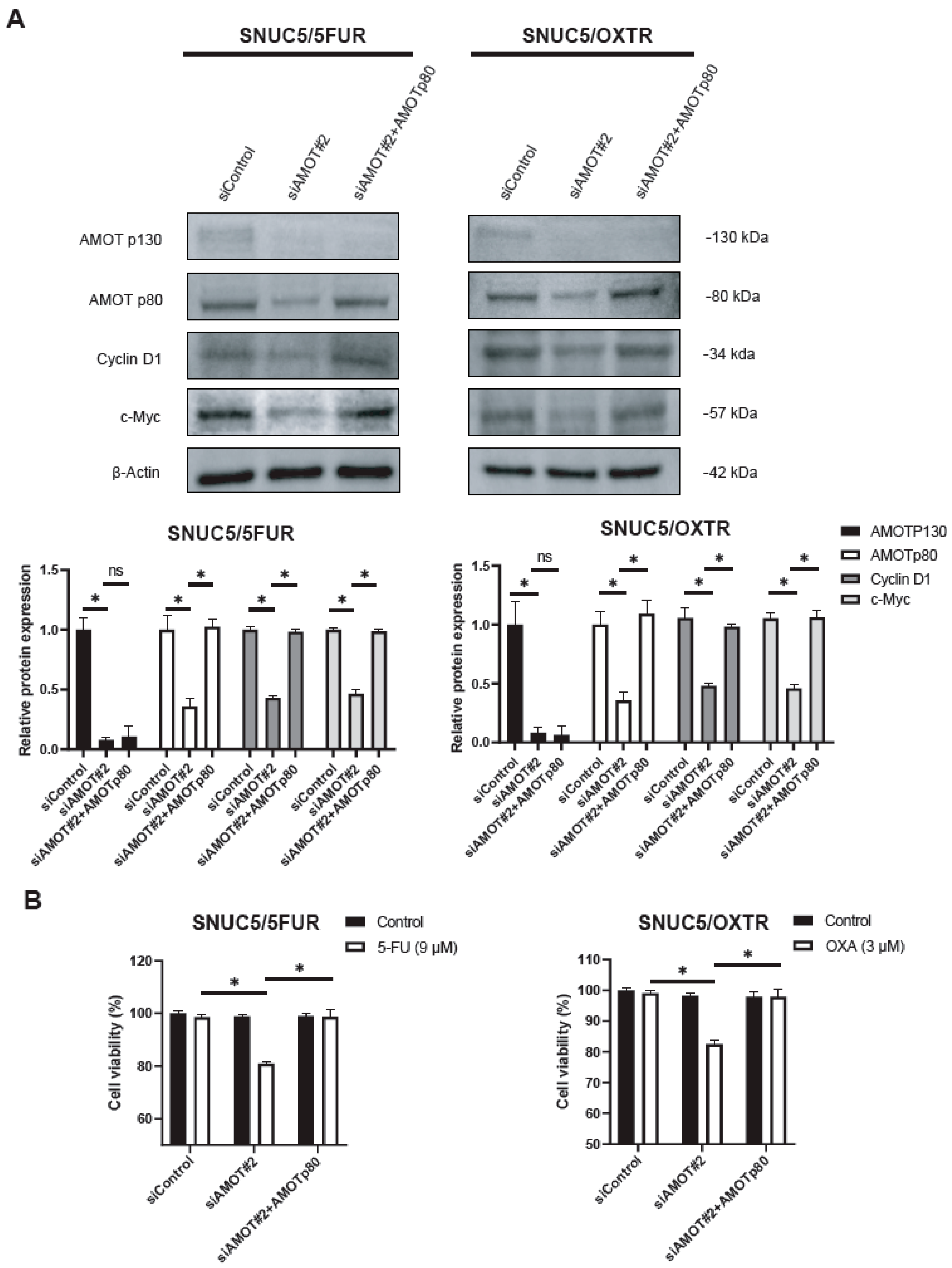Biomolecules 16 00767 g005 Biomolecules 16 00767 g005