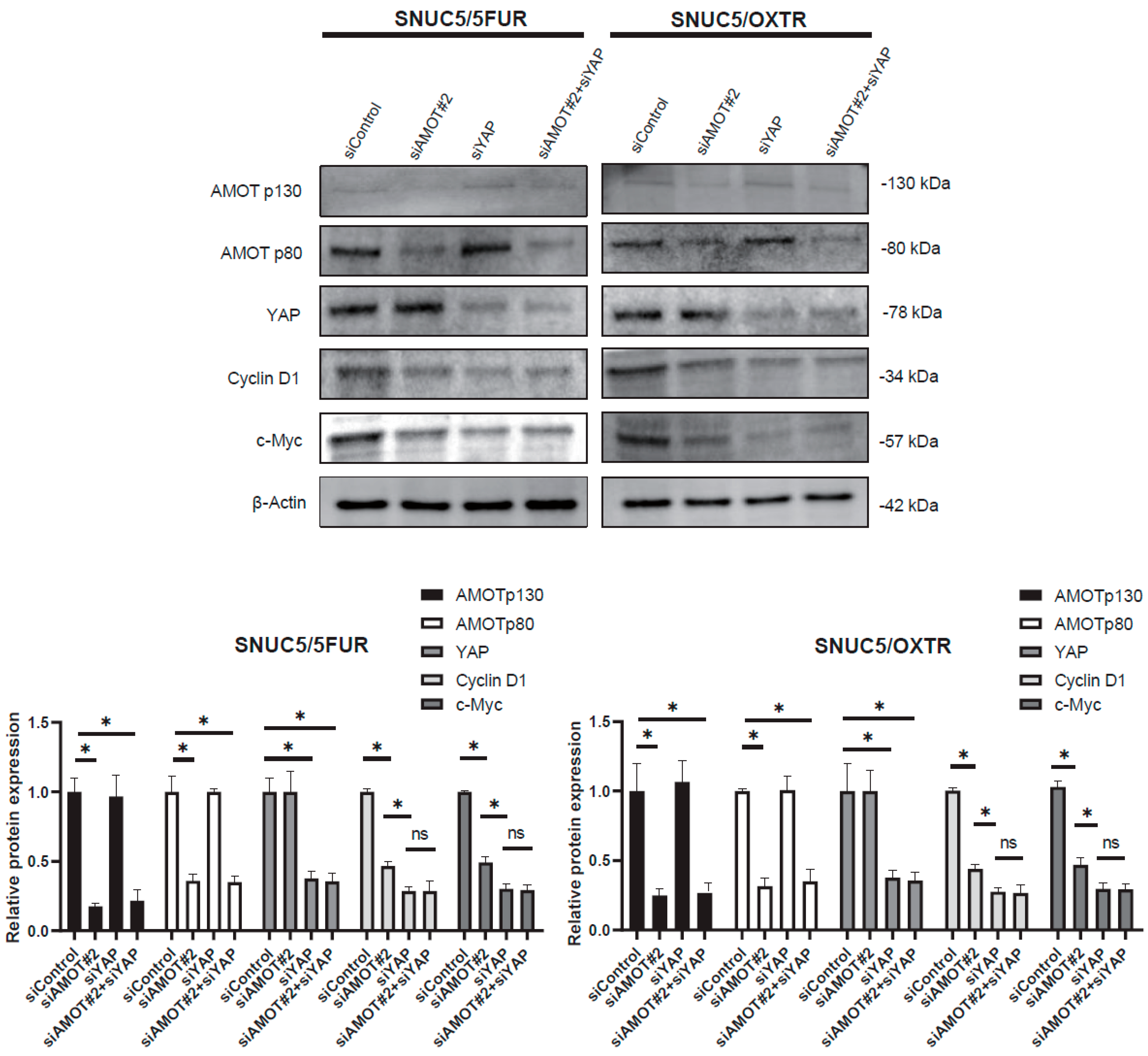 Biomolecules 16 00767 g006 Biomolecules 16 00767 g006